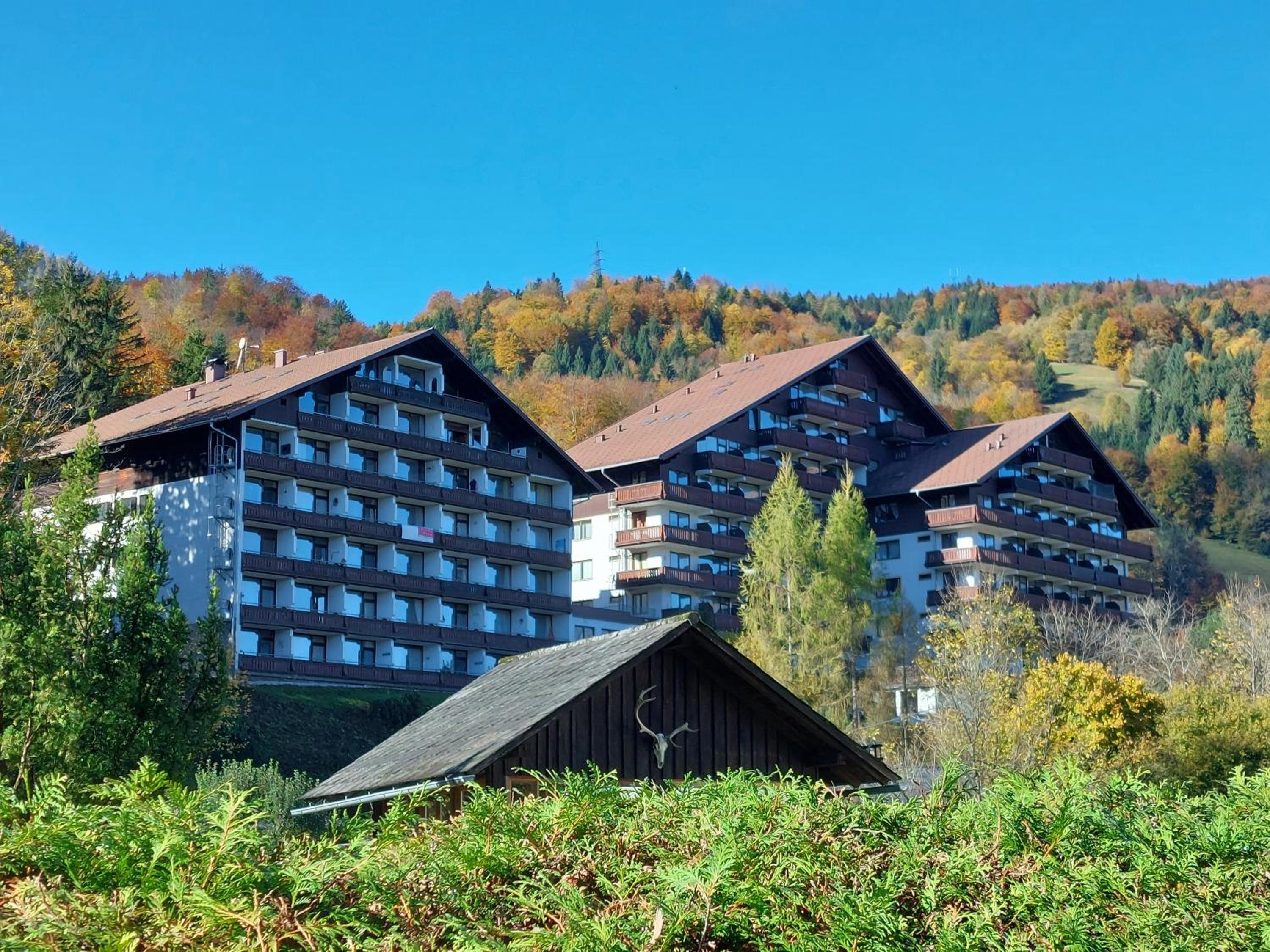 Wohnung in Bad Goisern