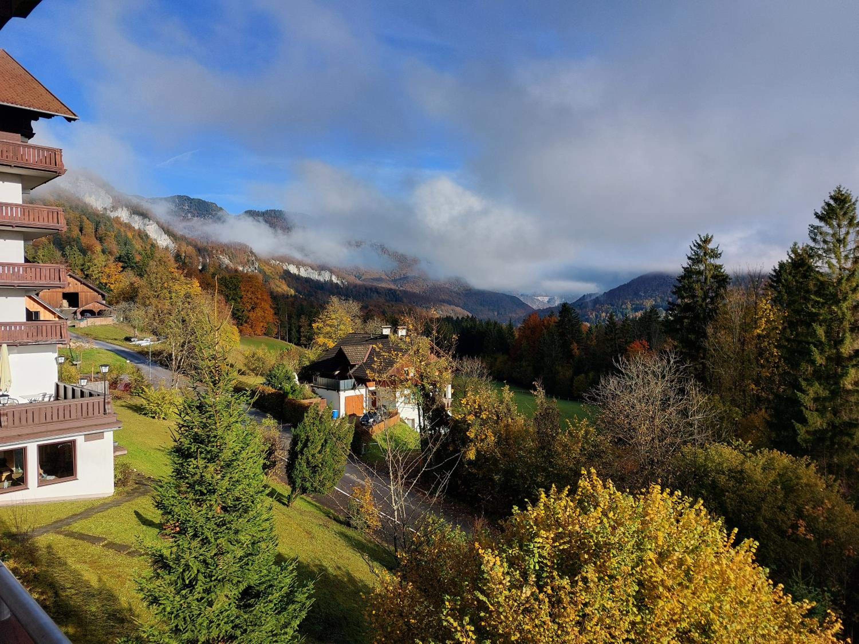 Wohnung in Bad Goisern