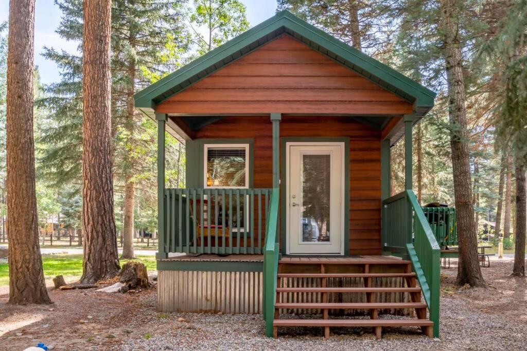 The Blue Devil Cabin #5 at Blue Spruce RV Park & Cabins view 2