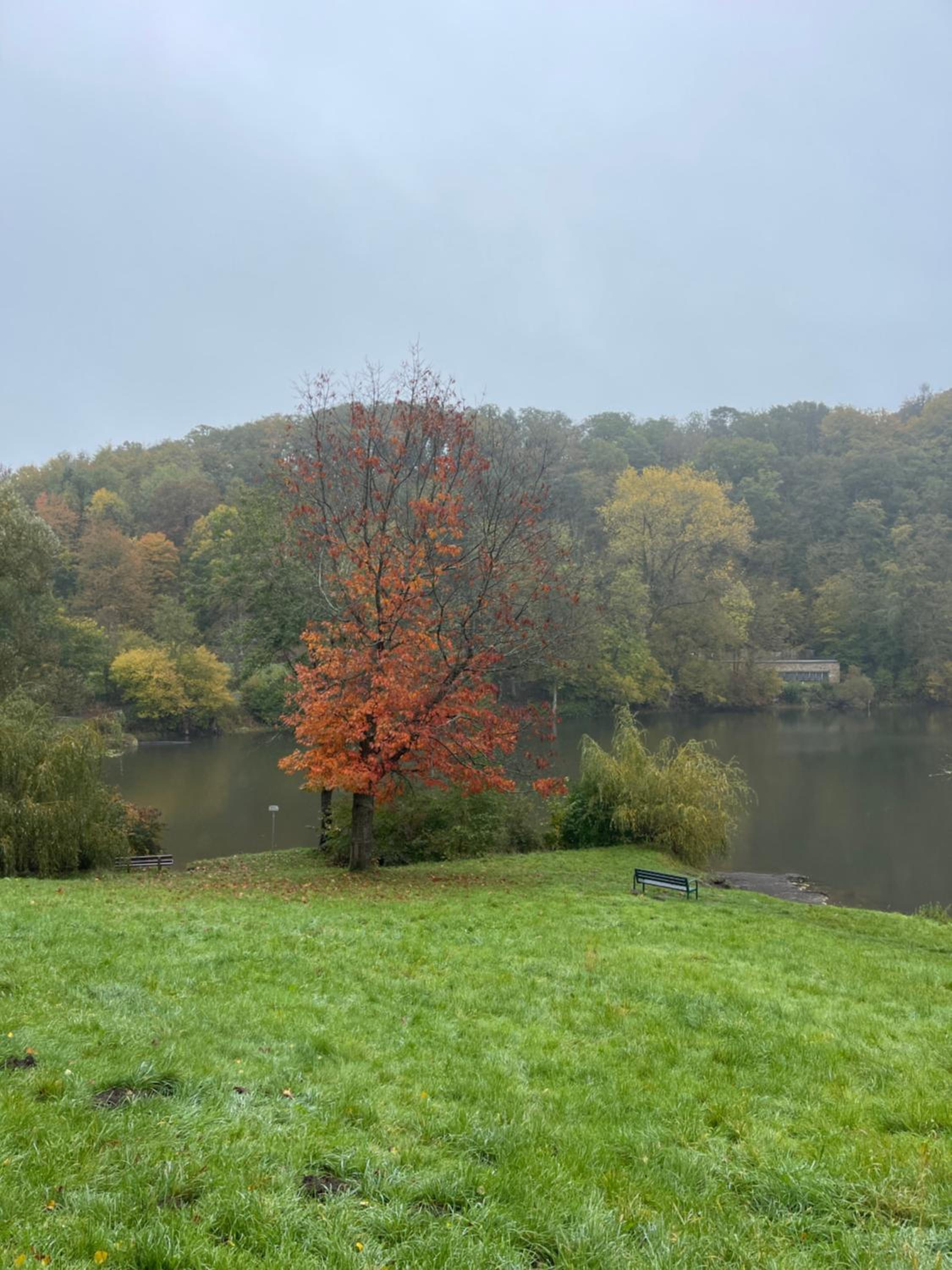 Ferienhaus Eifelstuben mit Charme - Bauernstube Vulkaneifel - Nähe See und Burgruine