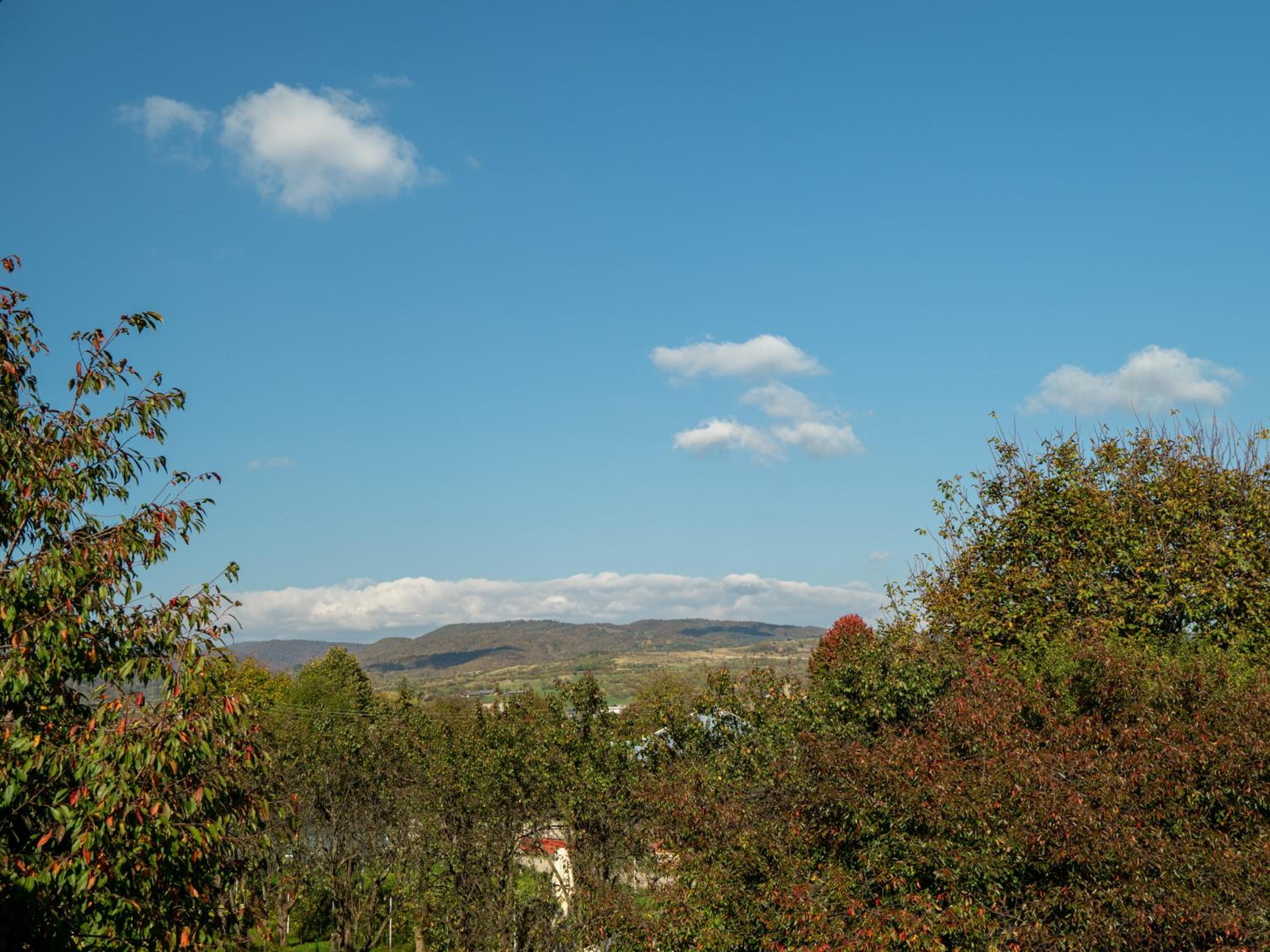 Photo 49
