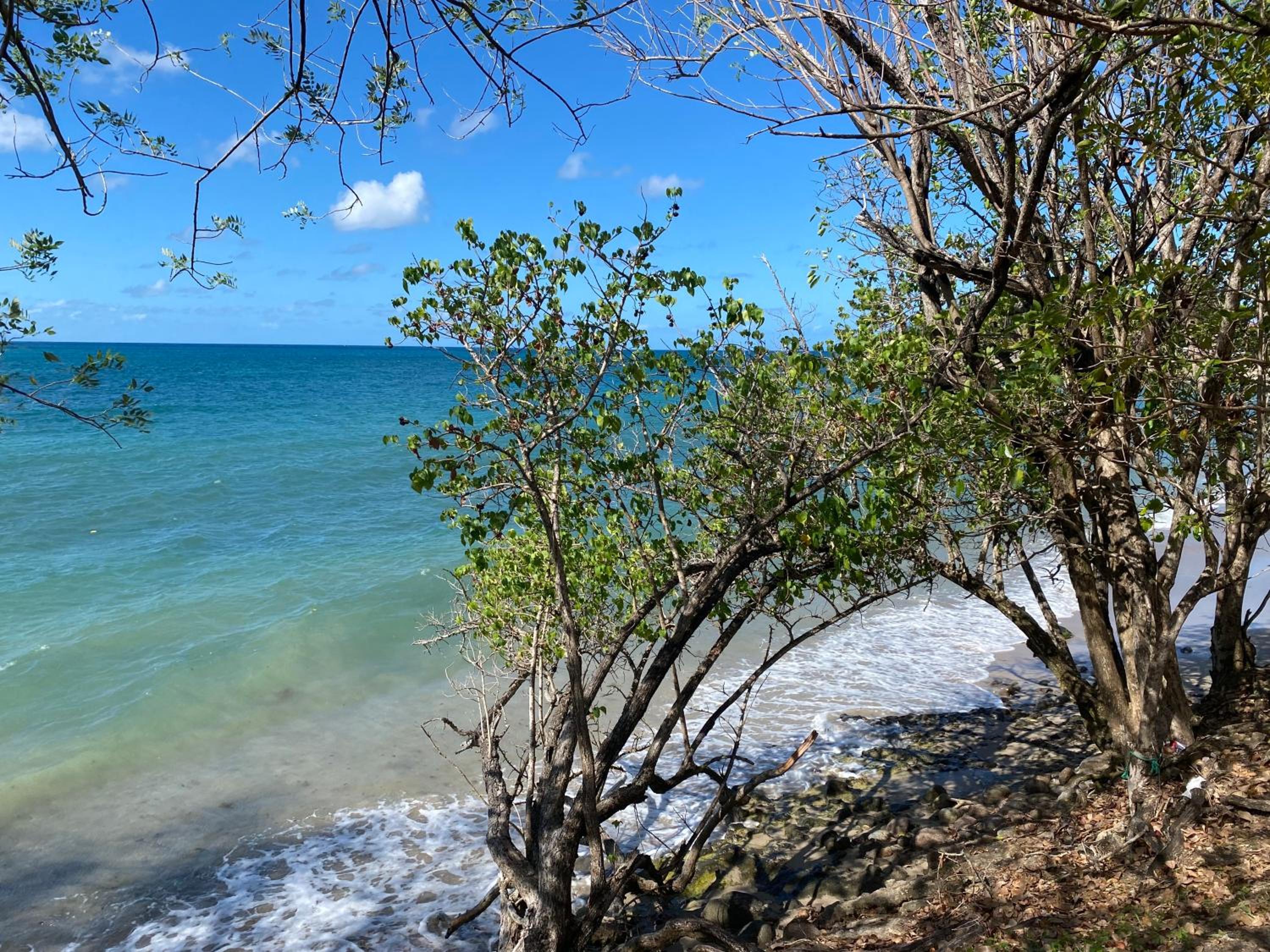 Karibbean Resort
