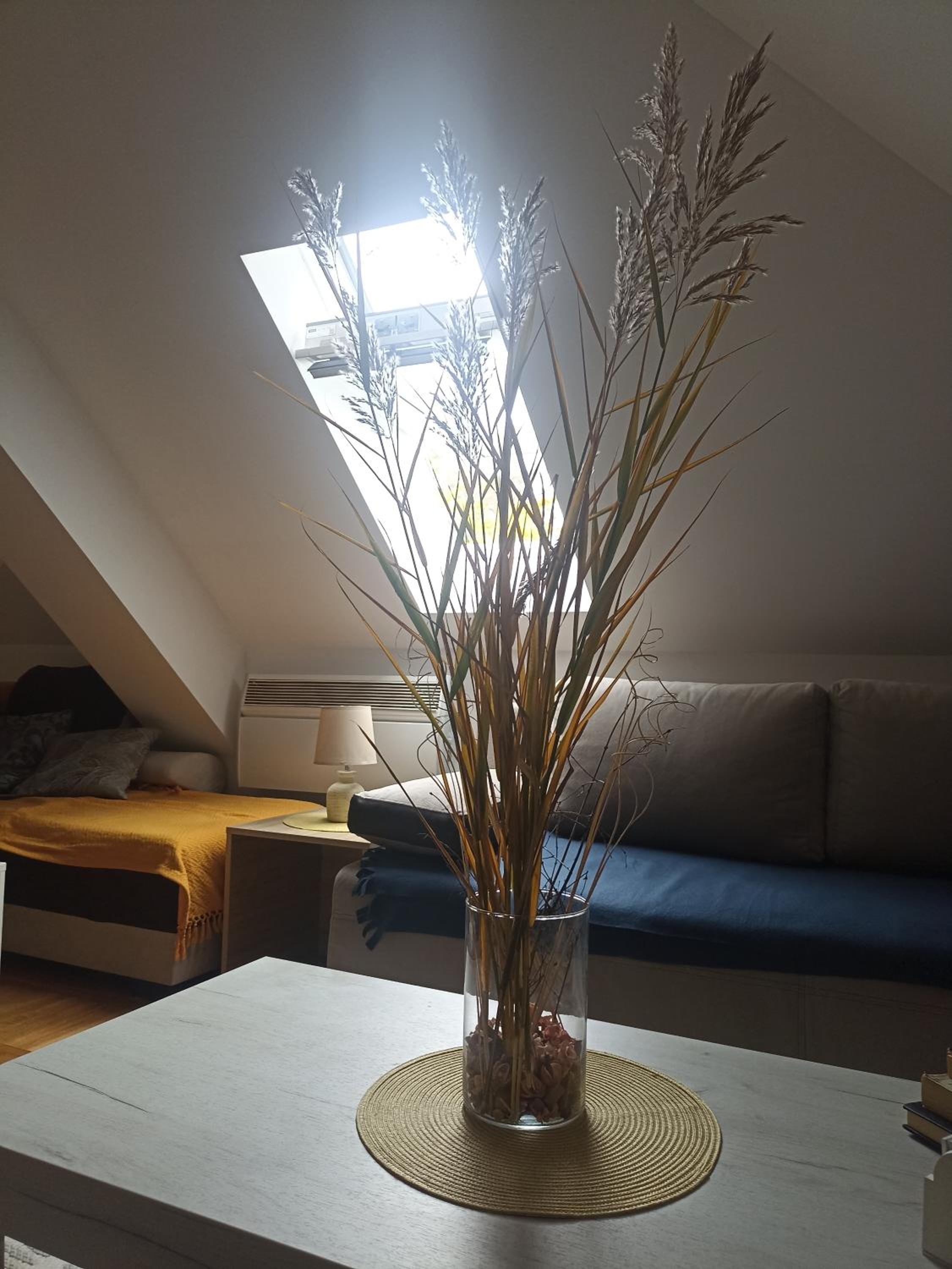 Apartman Pahulja view 4