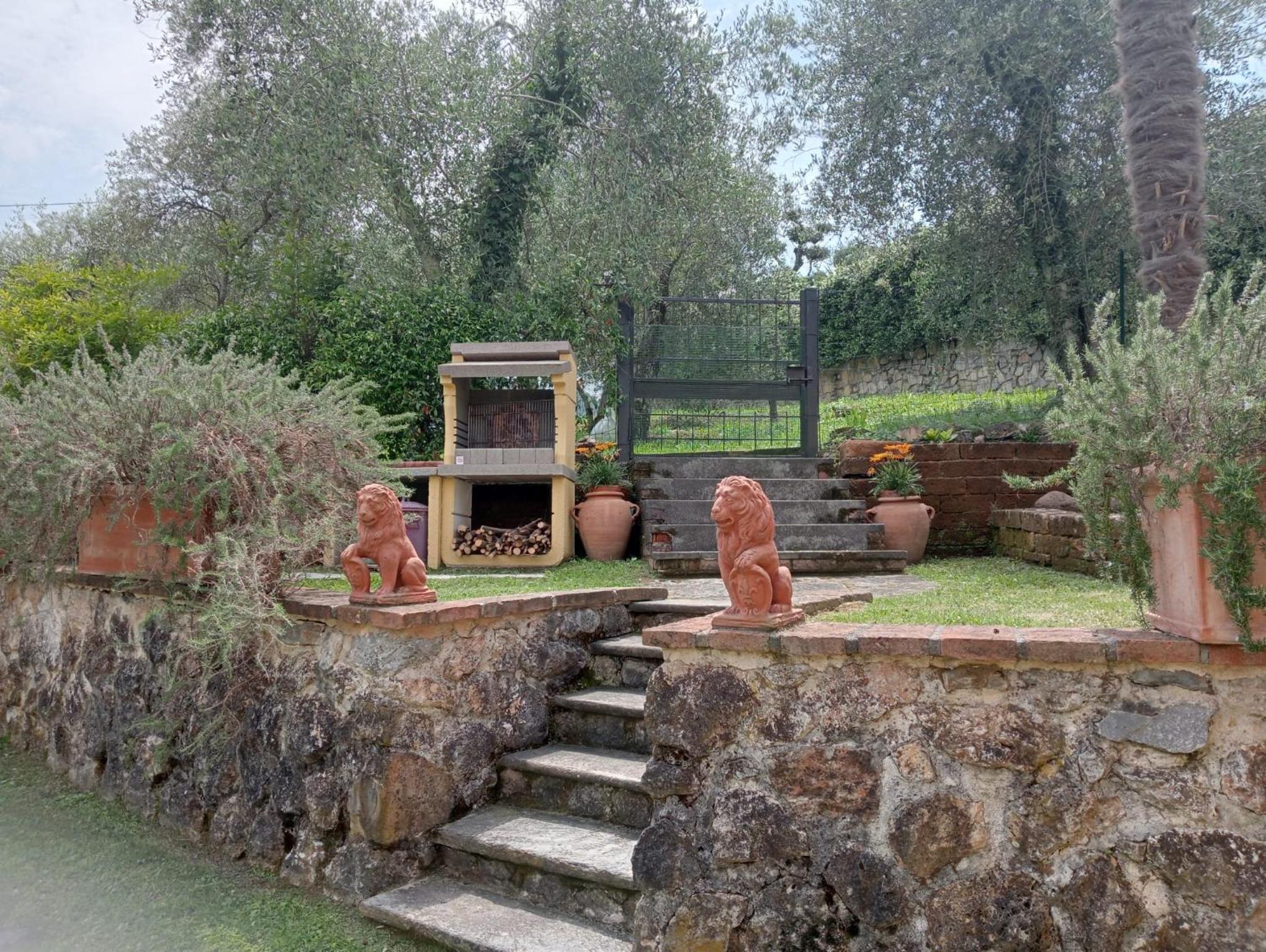Photo 26
