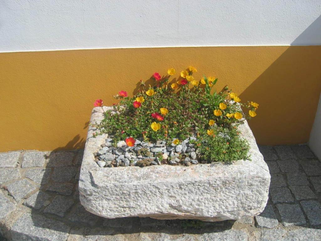 Photo 37
