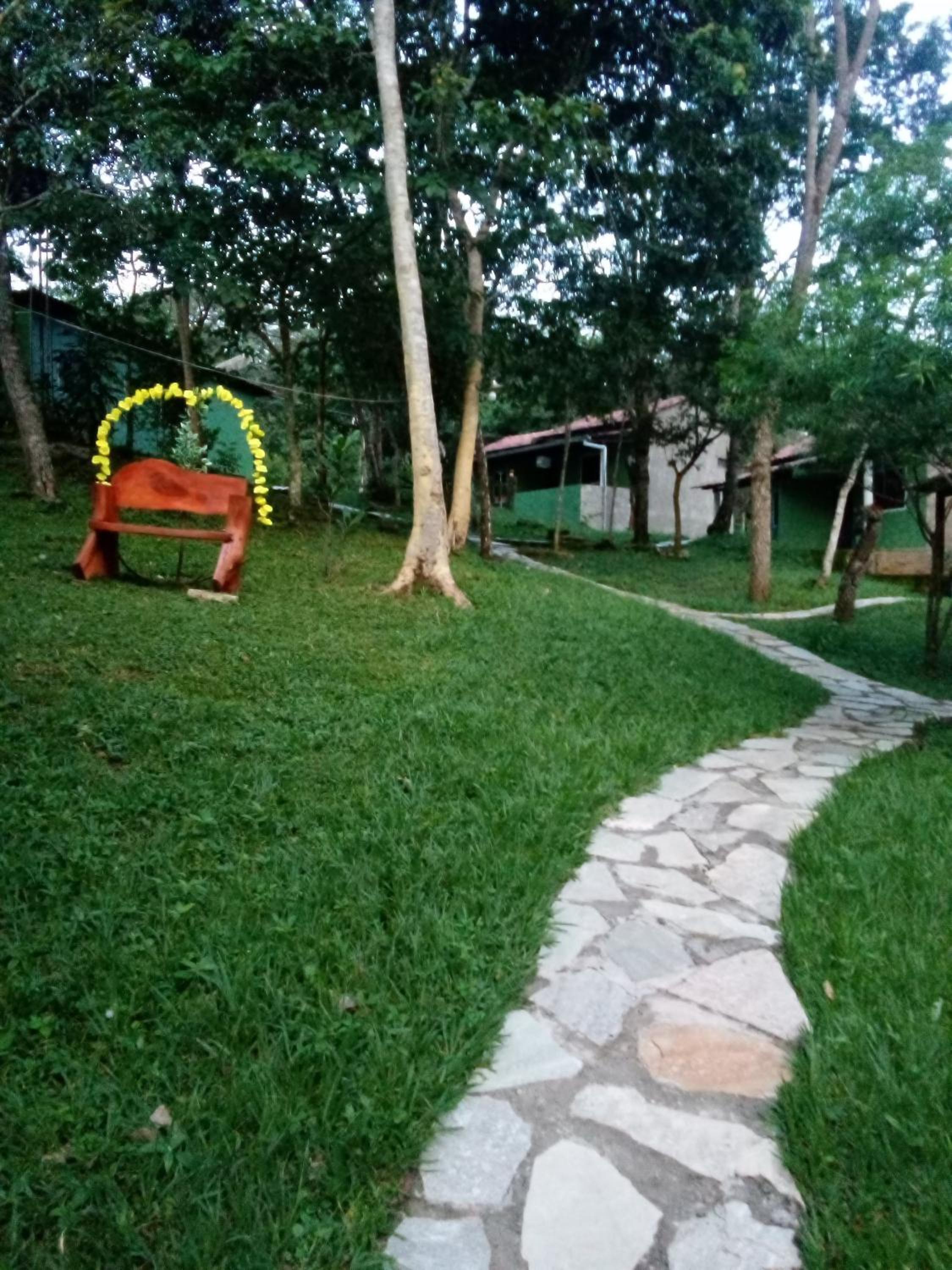 Photo 12