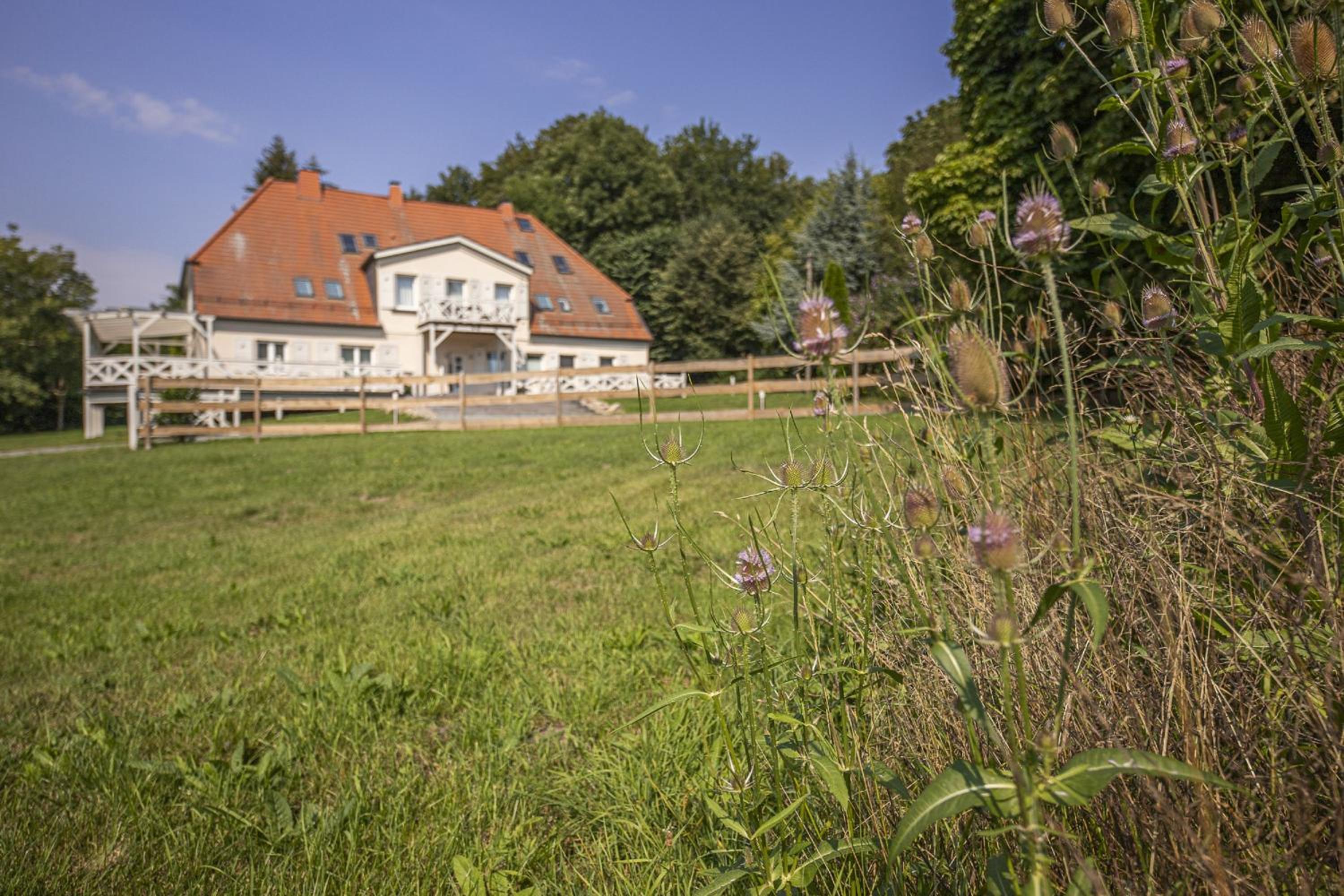 Ruhig und idyllische Lage, strandnah, gratis Nutzung vom AHOI Erlebnisbad und Sauna in Sellin- Gutshaus Silvitz FeWo 04