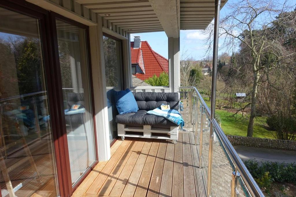 Meer-Zeit-OG-Seepferdchen