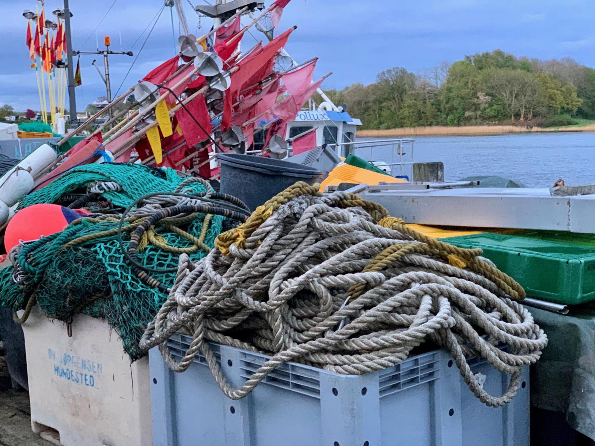 Schlei-FeWo Moin Moin - B7