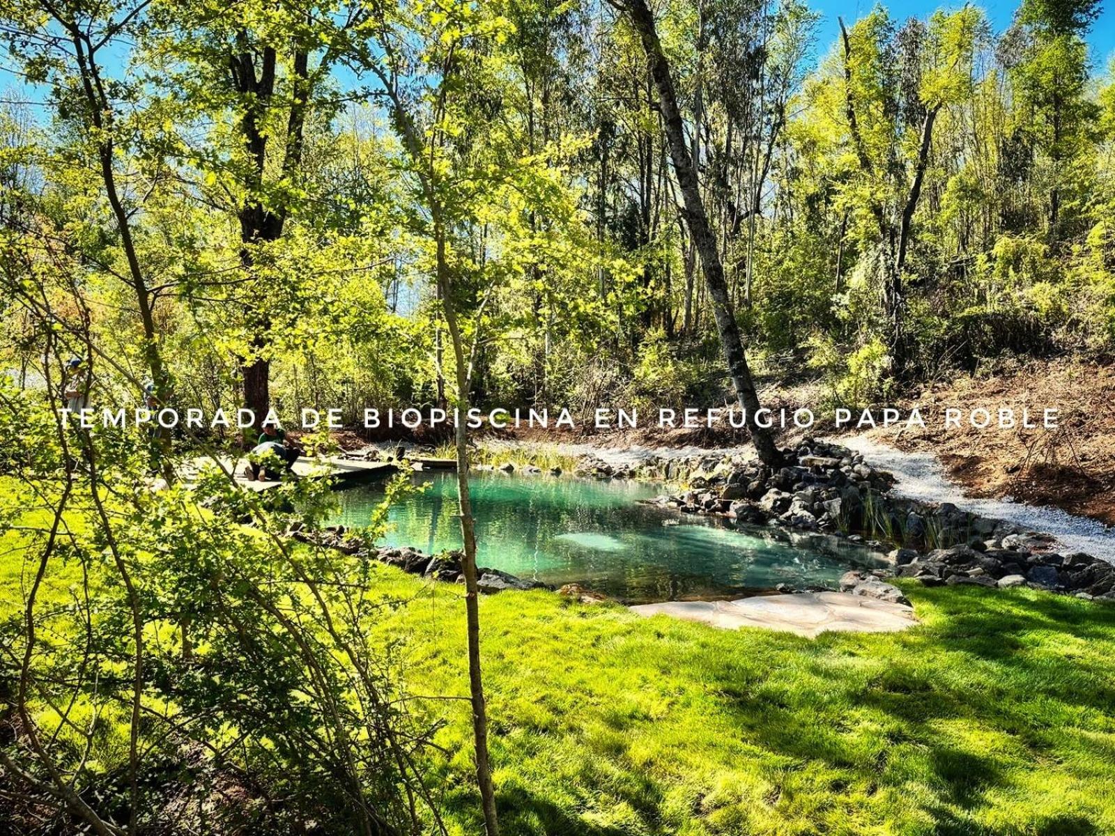 Cabaña en el bosque-Termas de Chillán