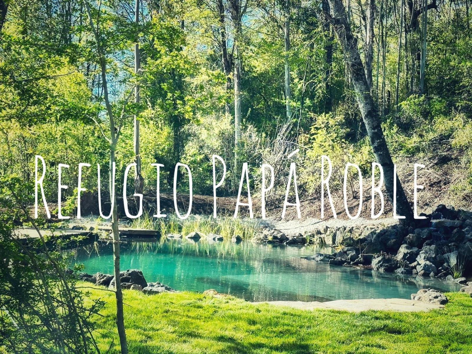 Cabaña en el bosque-Termas de Chillán