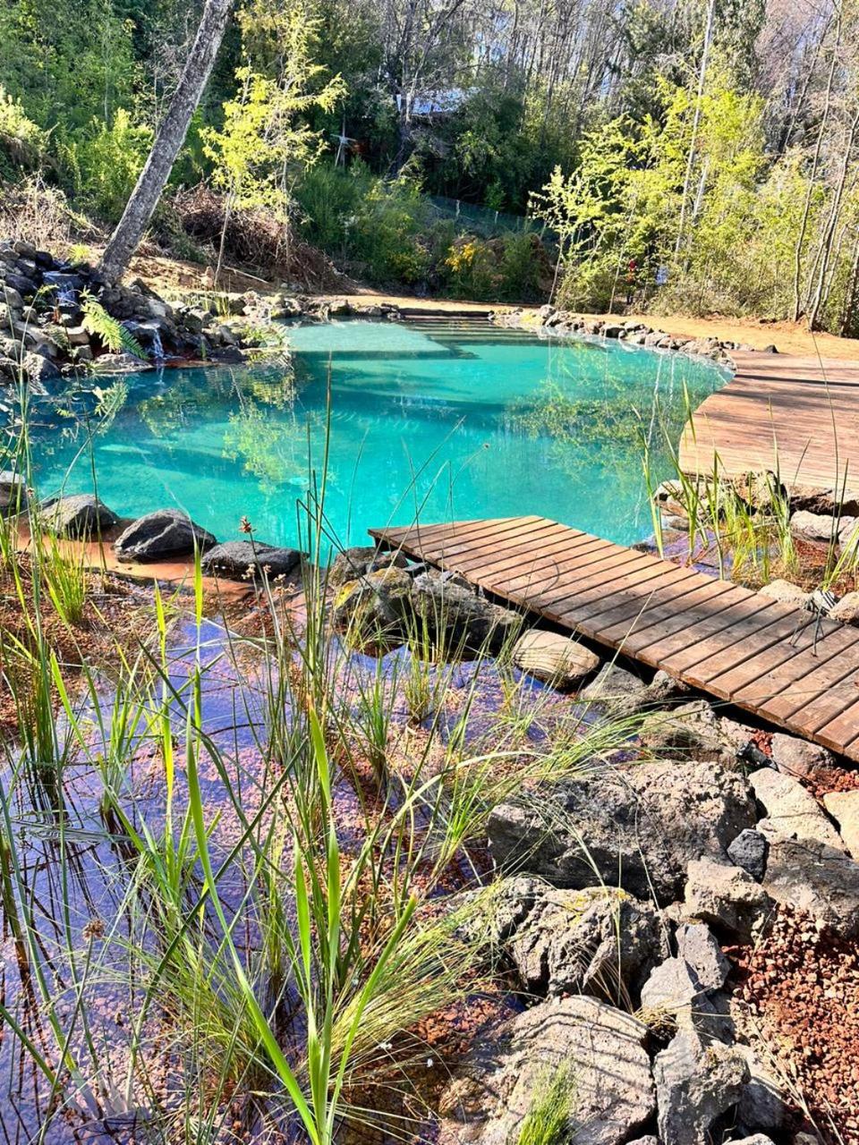 Cabaña en el bosque-Termas de Chillán