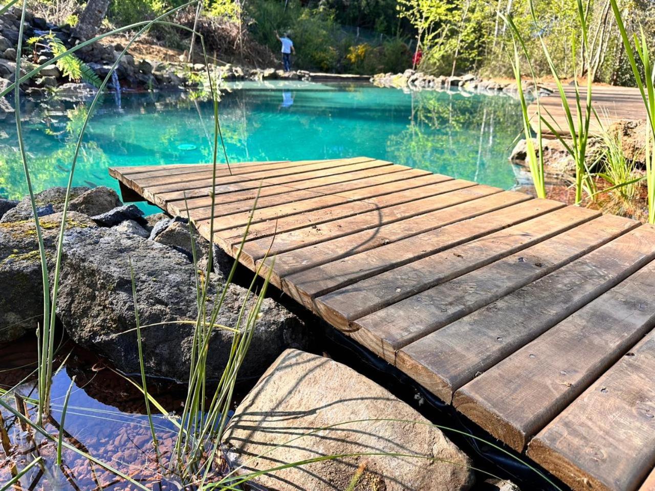 Cabaña en el bosque-Termas de Chillán