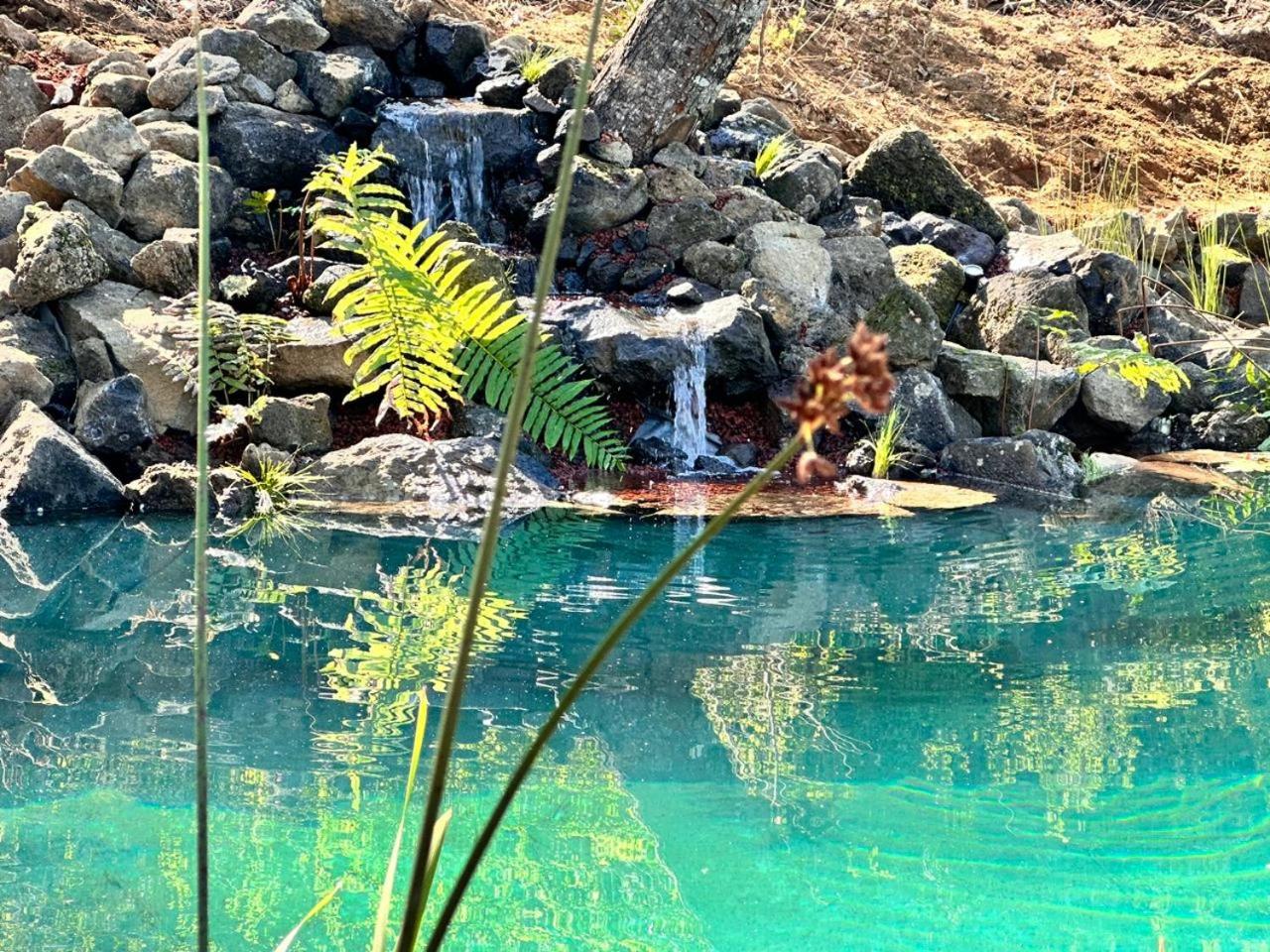 Cabaña en el bosque-Termas de Chillán