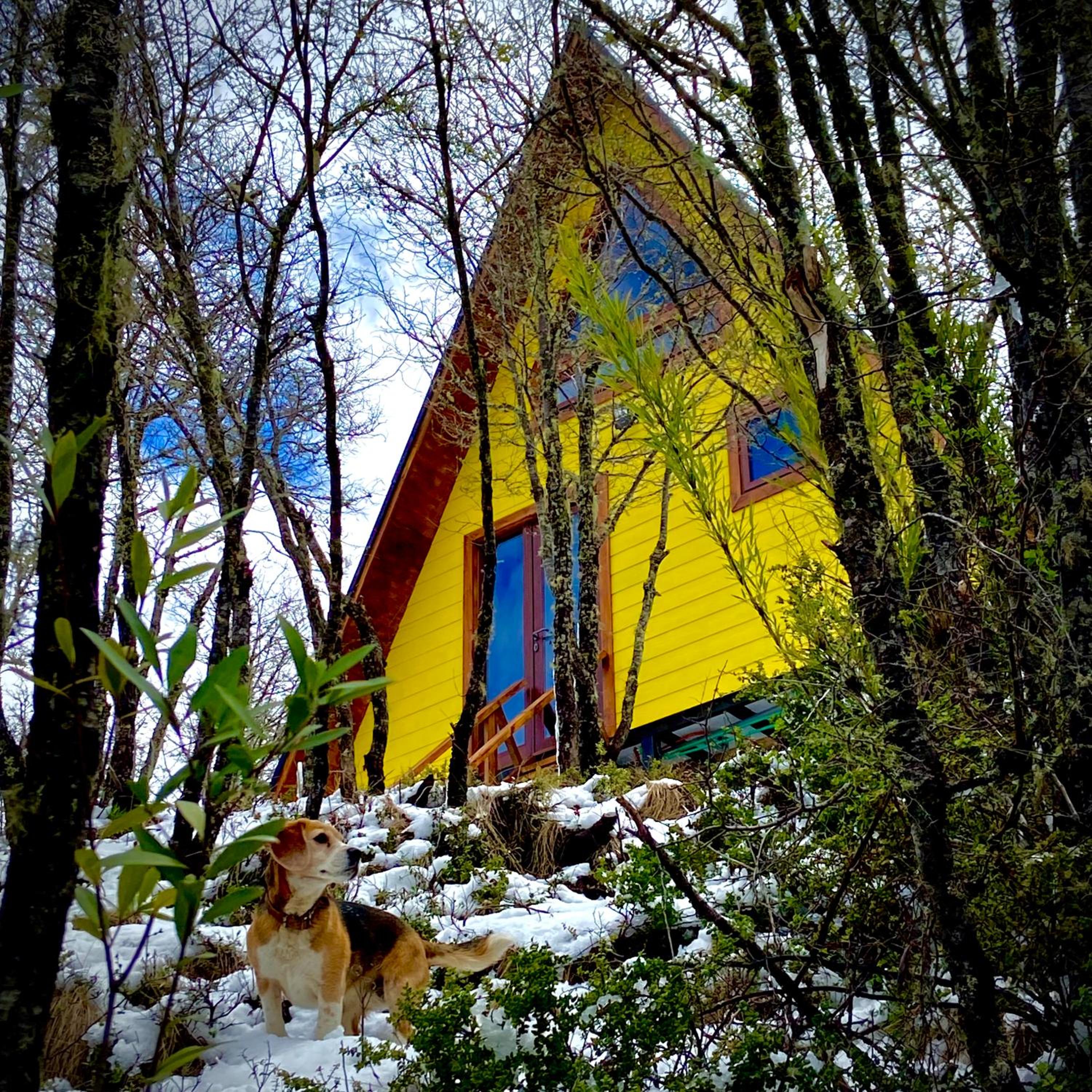 A-Frame con vista al río, desayuno y tinaja privada RAMĒ - Malalcahuello