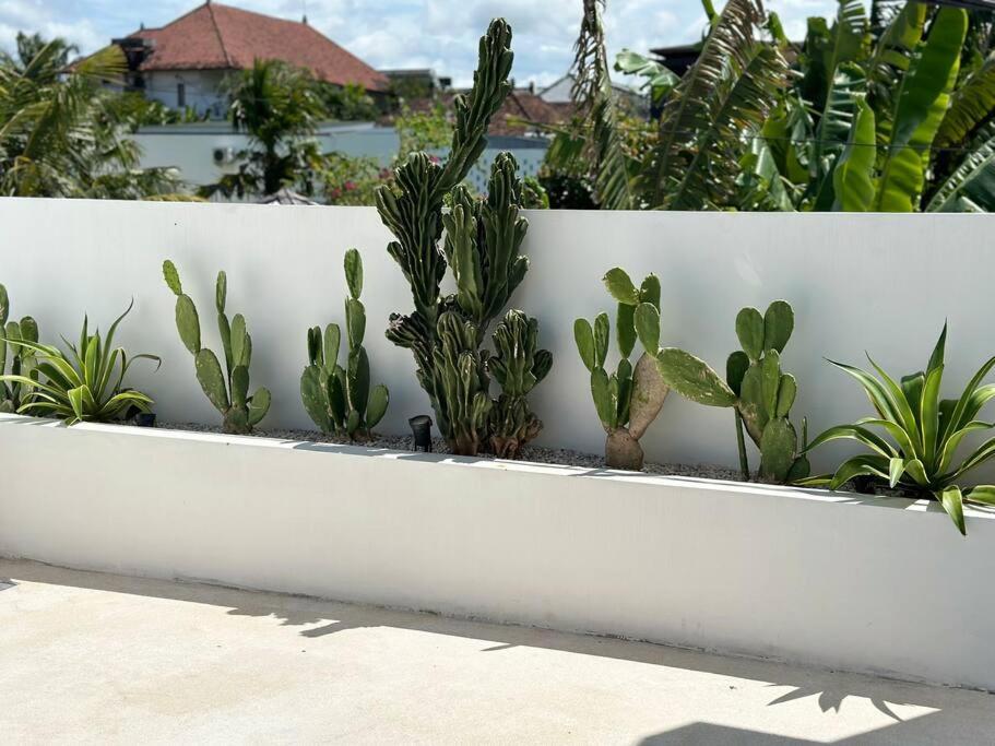 Villa Solaris Umalas by Santi Management