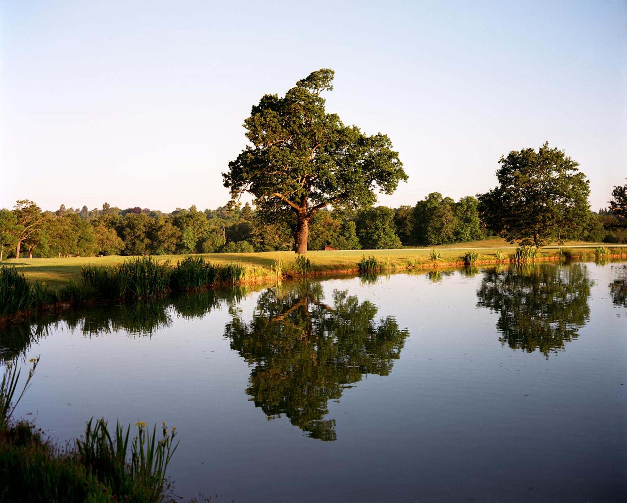Coworth Park - Dorchester Collection 36