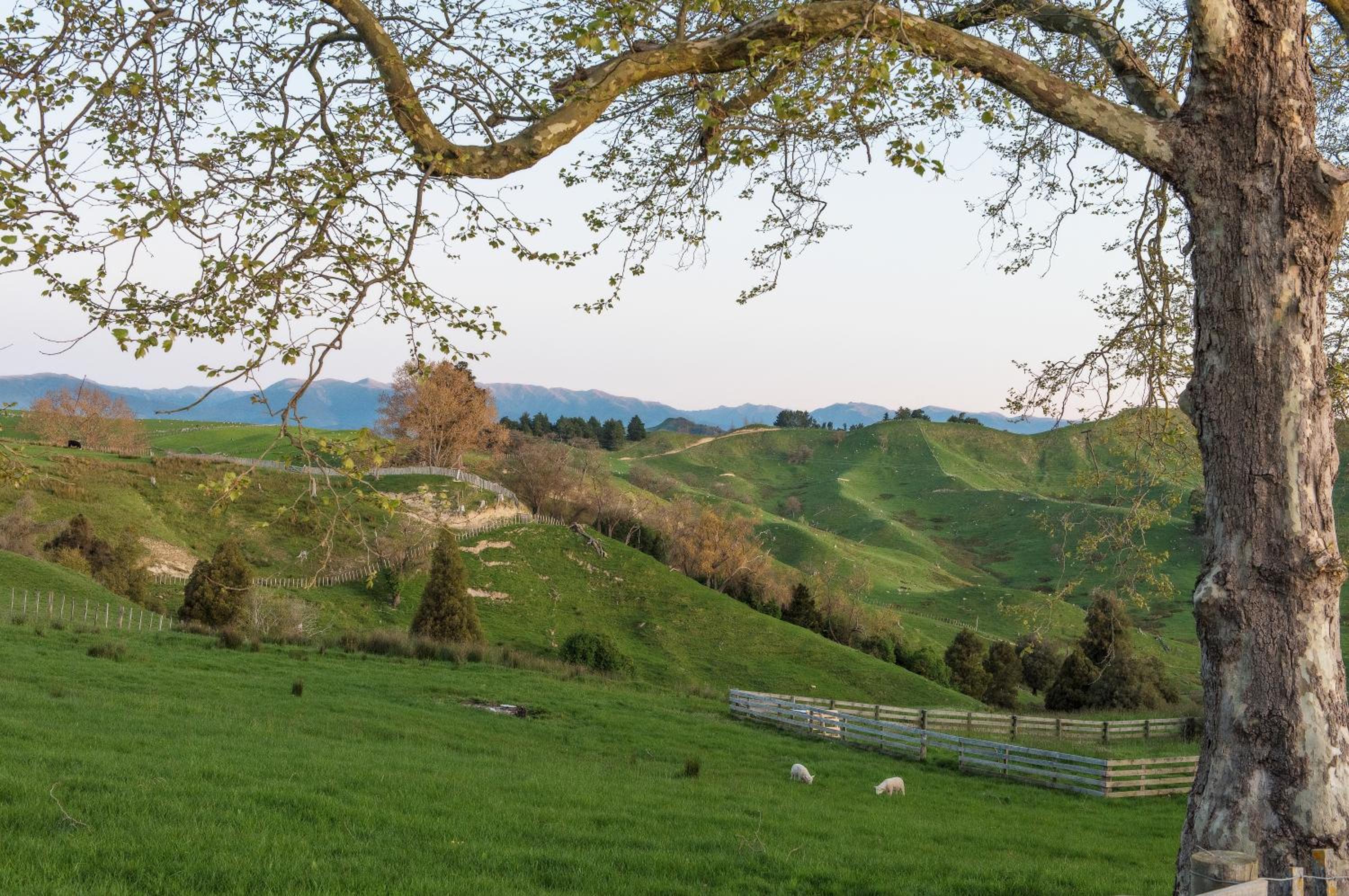 Hopwood Bed & Breakfast view 2