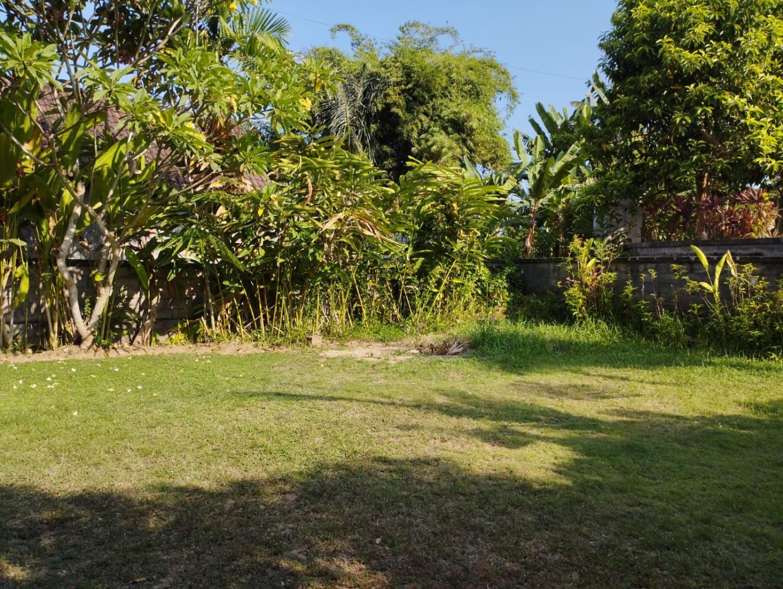 Casa Mesari view 4