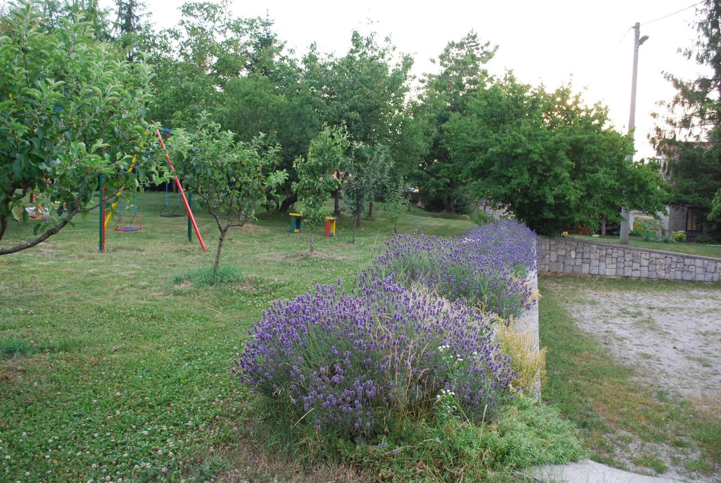 Photo 23