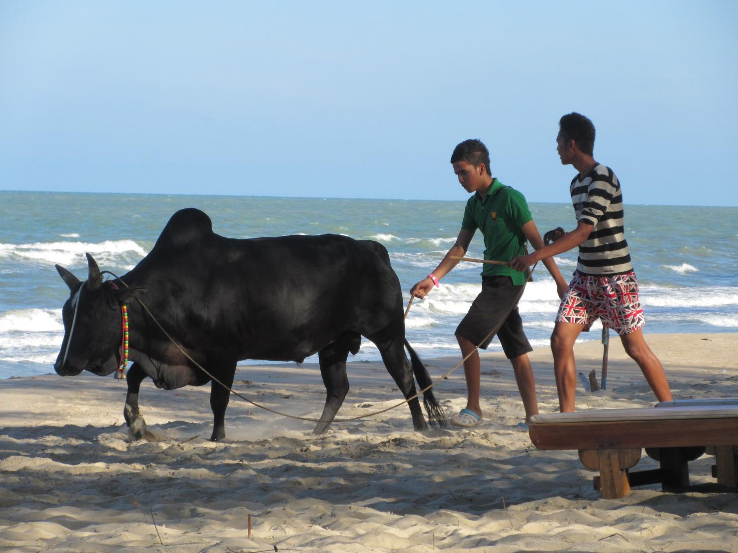 Ao Thai Resort