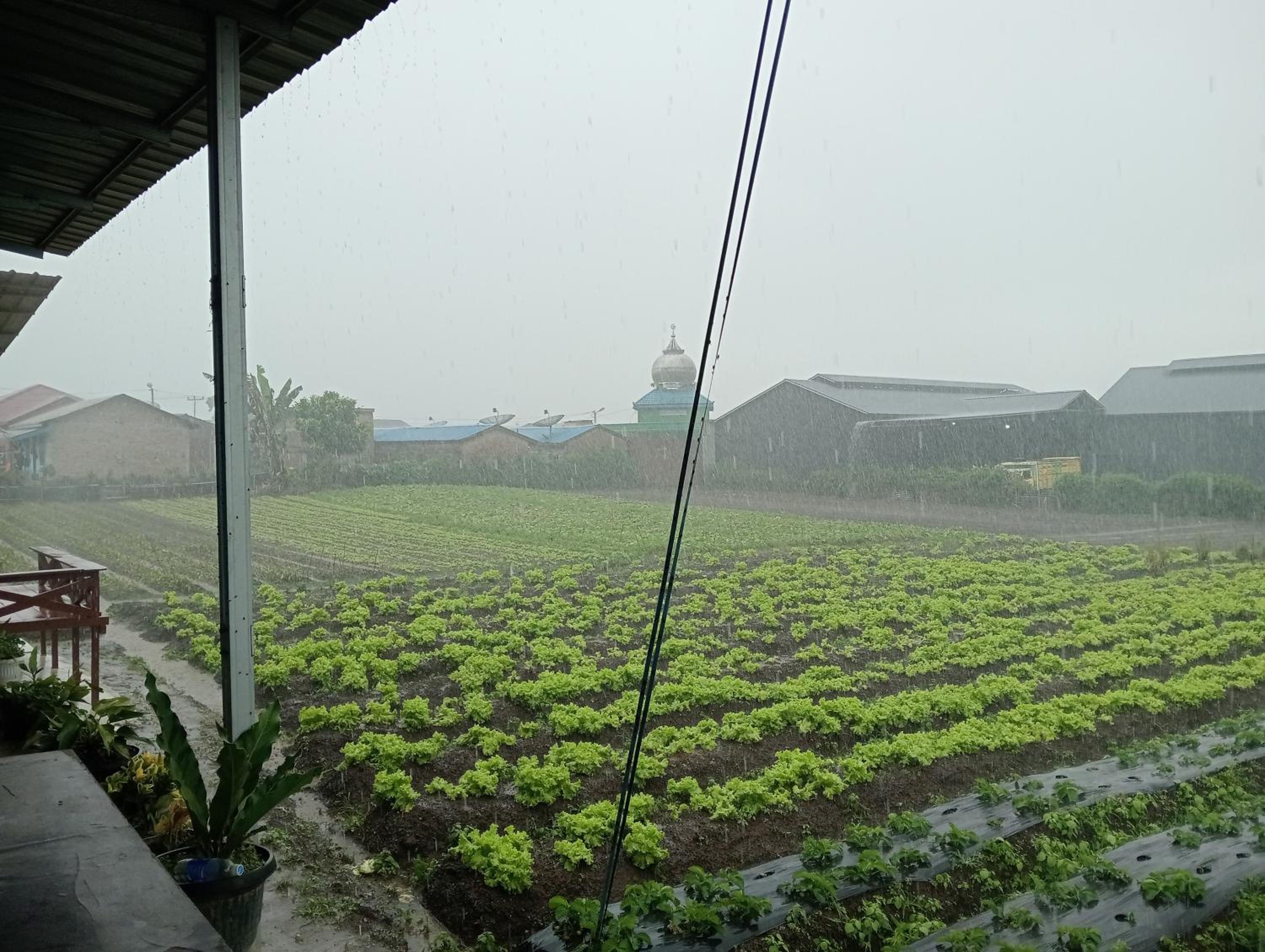 Vulkaan Homestay