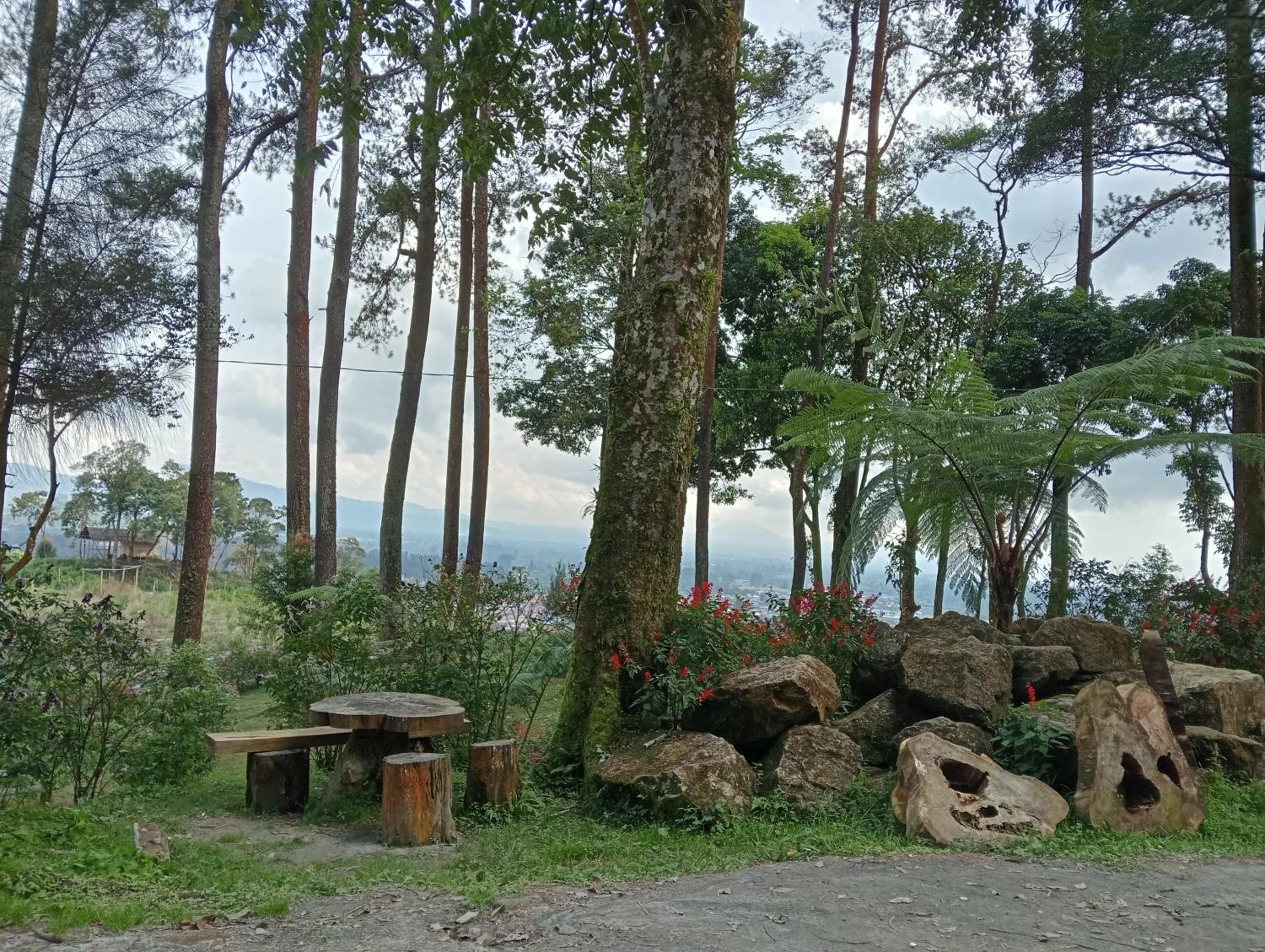 Vulkaan Homestay