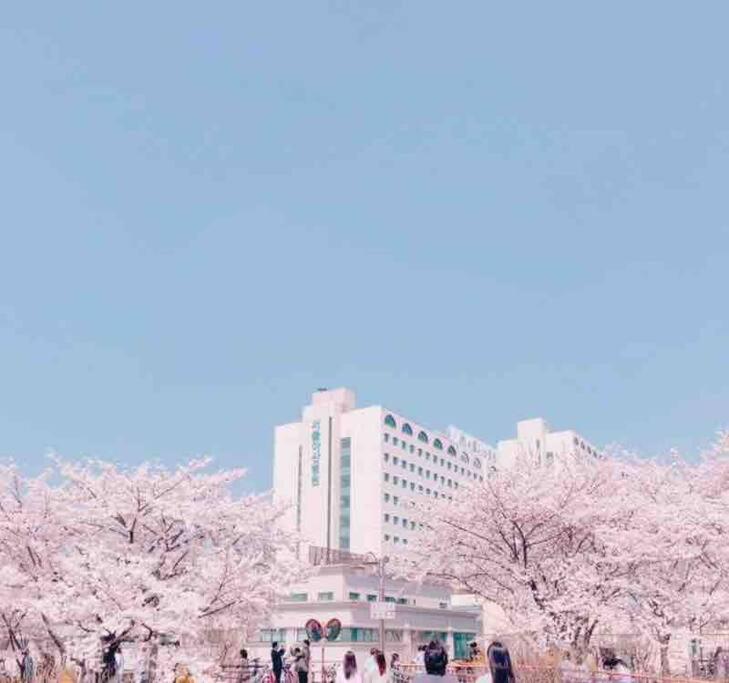 Timeless Hanok In Jamsil Serenity