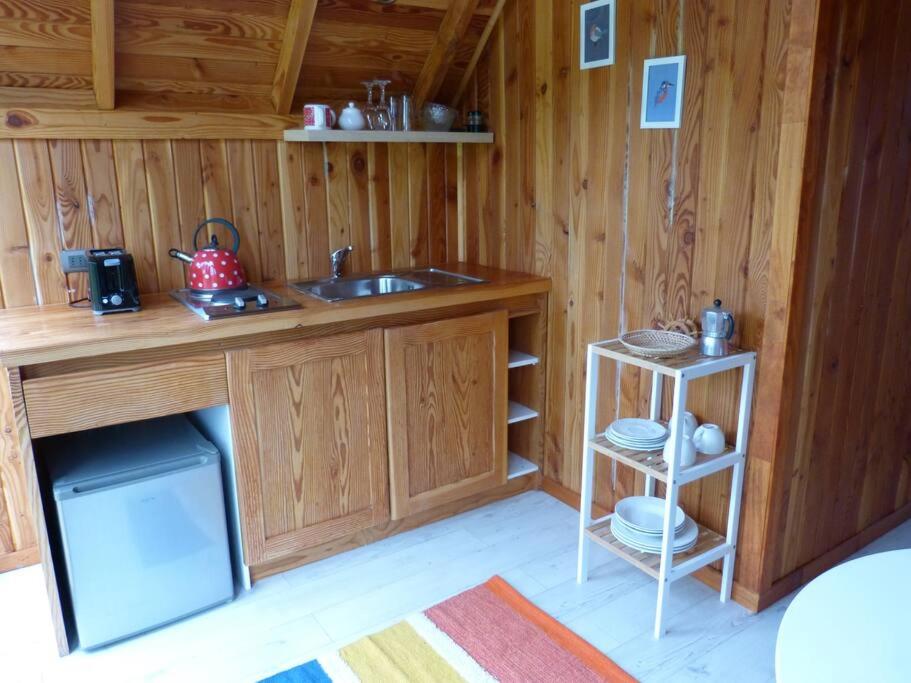 Tiny House Volcán de Puerto Octay