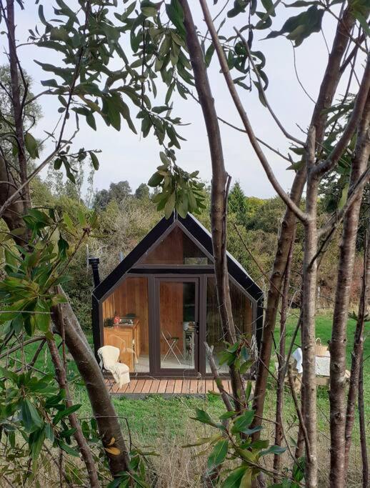 Tiny House Volcán de Puerto Octay