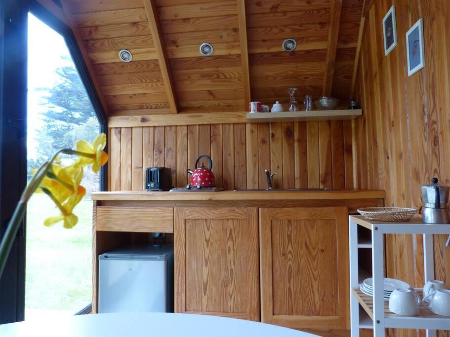 Tiny House Volcán de Puerto Octay
