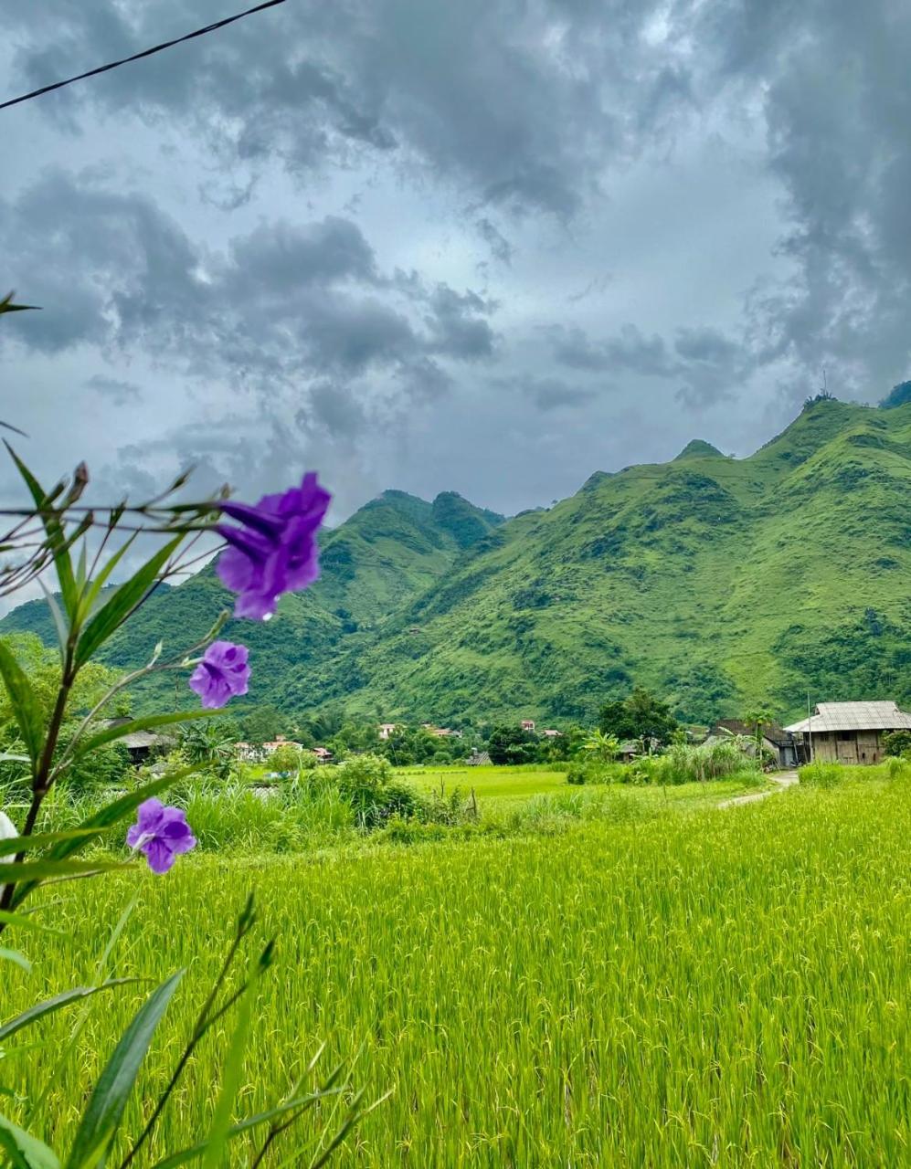 Du Gia Field View Homestay
