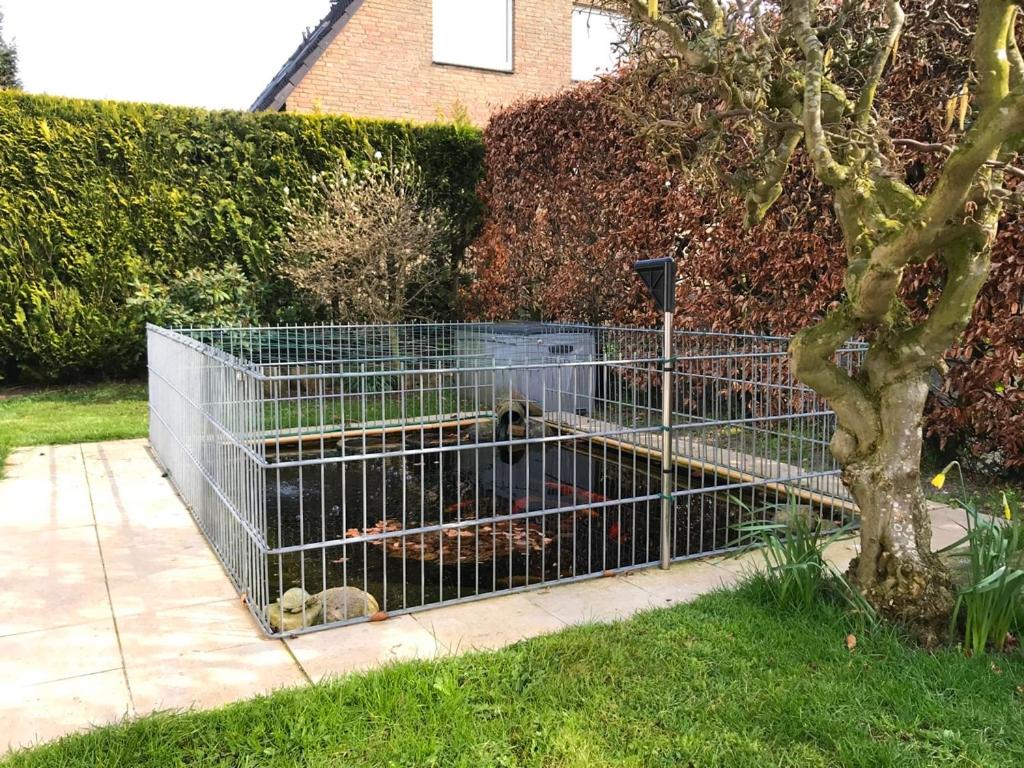 Spatzennest