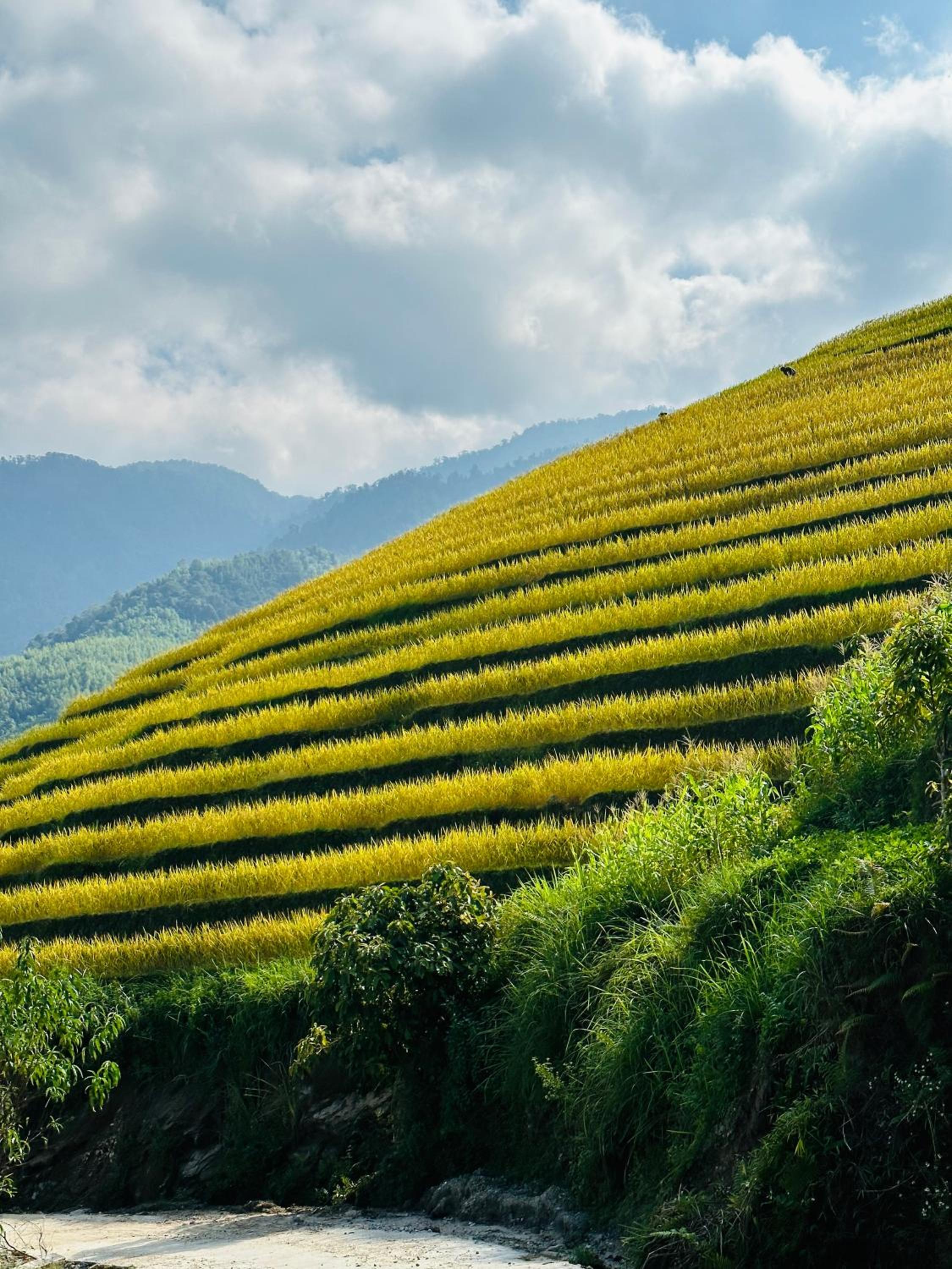 Su's Villa Hà Giang - Biệt thự nguyên căn tại trung tâm thành phố Hà Giang view 5