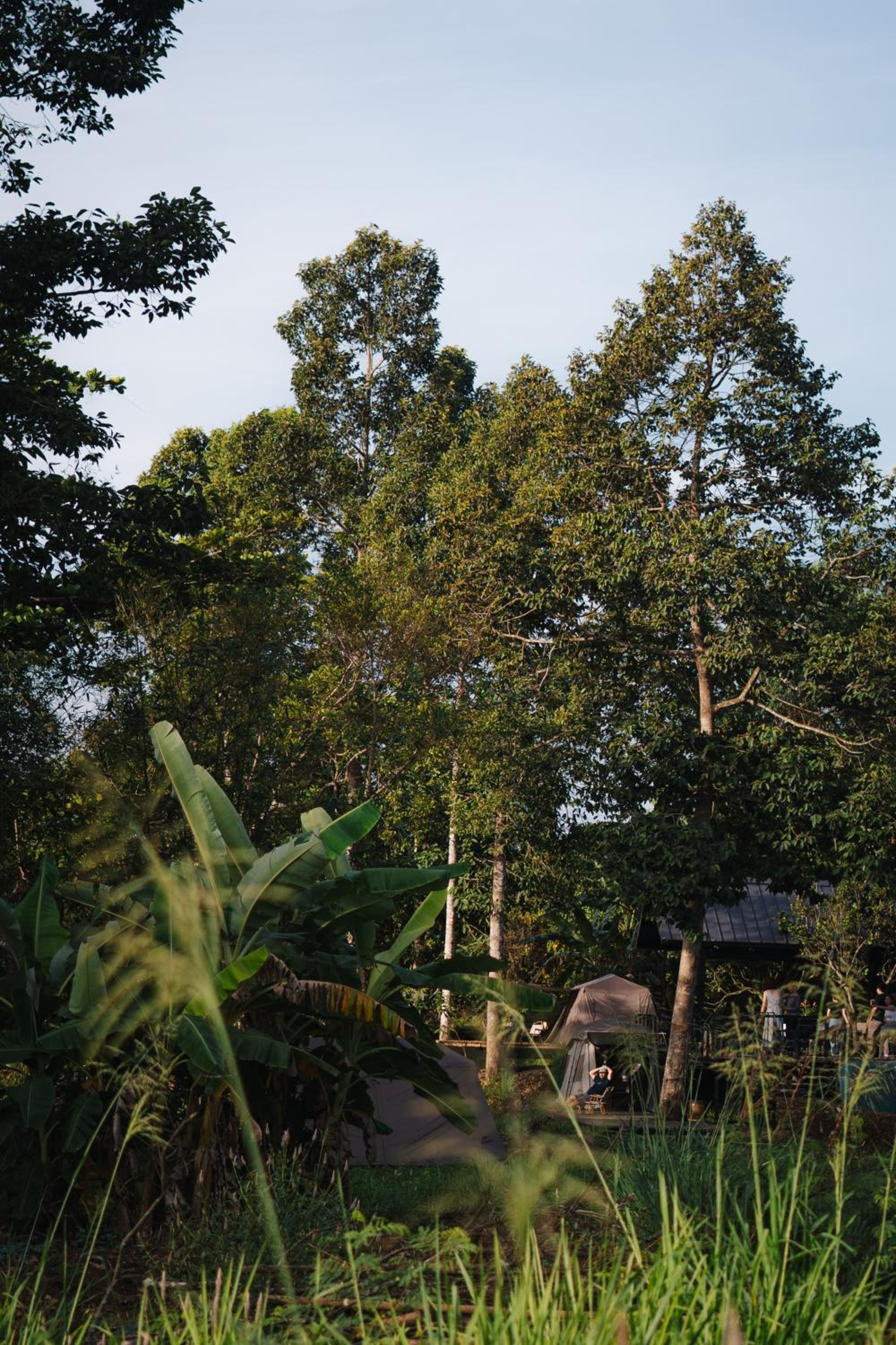 Photo 50