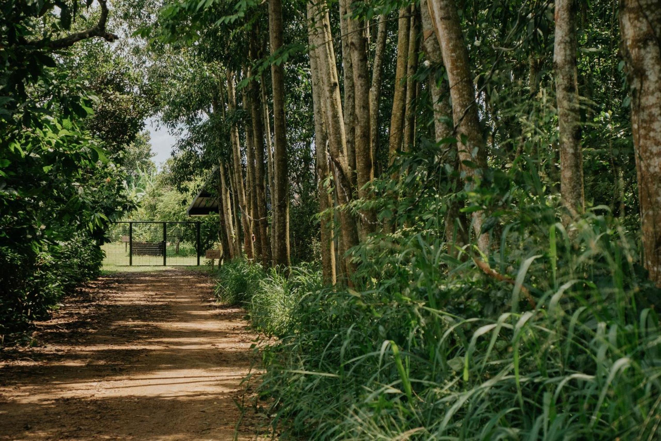Suối Camp view 3