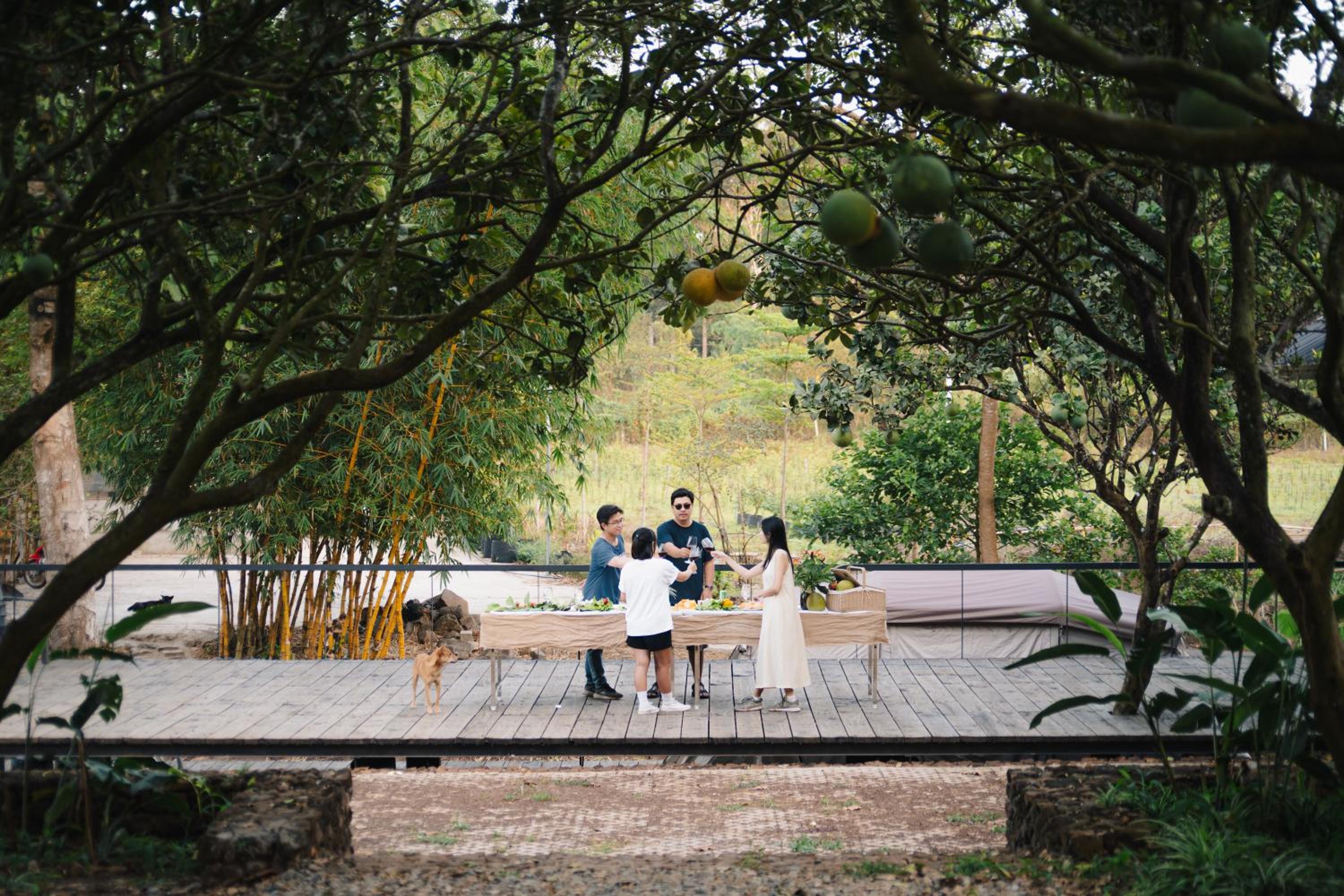 Suối Camp view 5