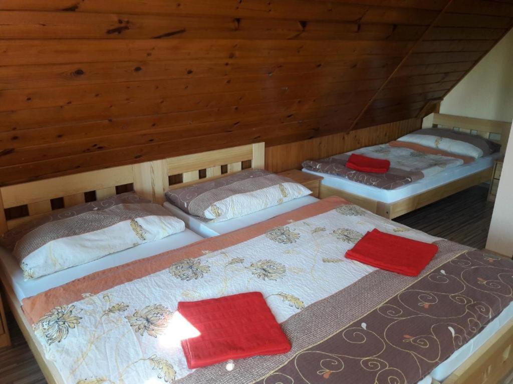 Holiday Home Jizerka