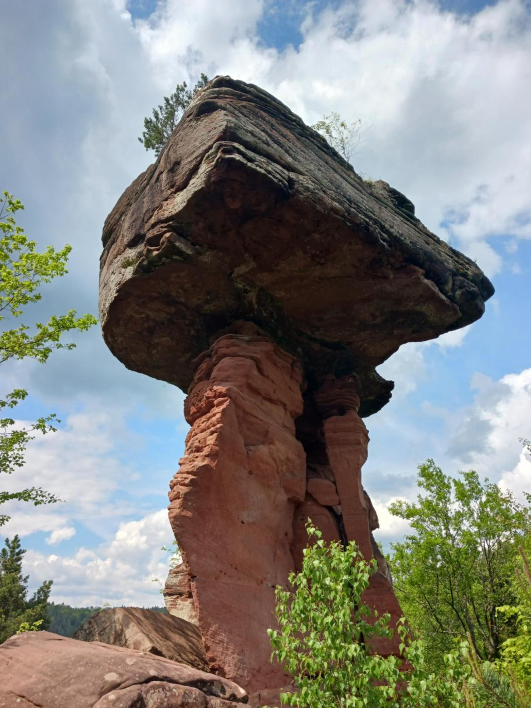 Gemütliche Fewo am Felsenwanderweg
