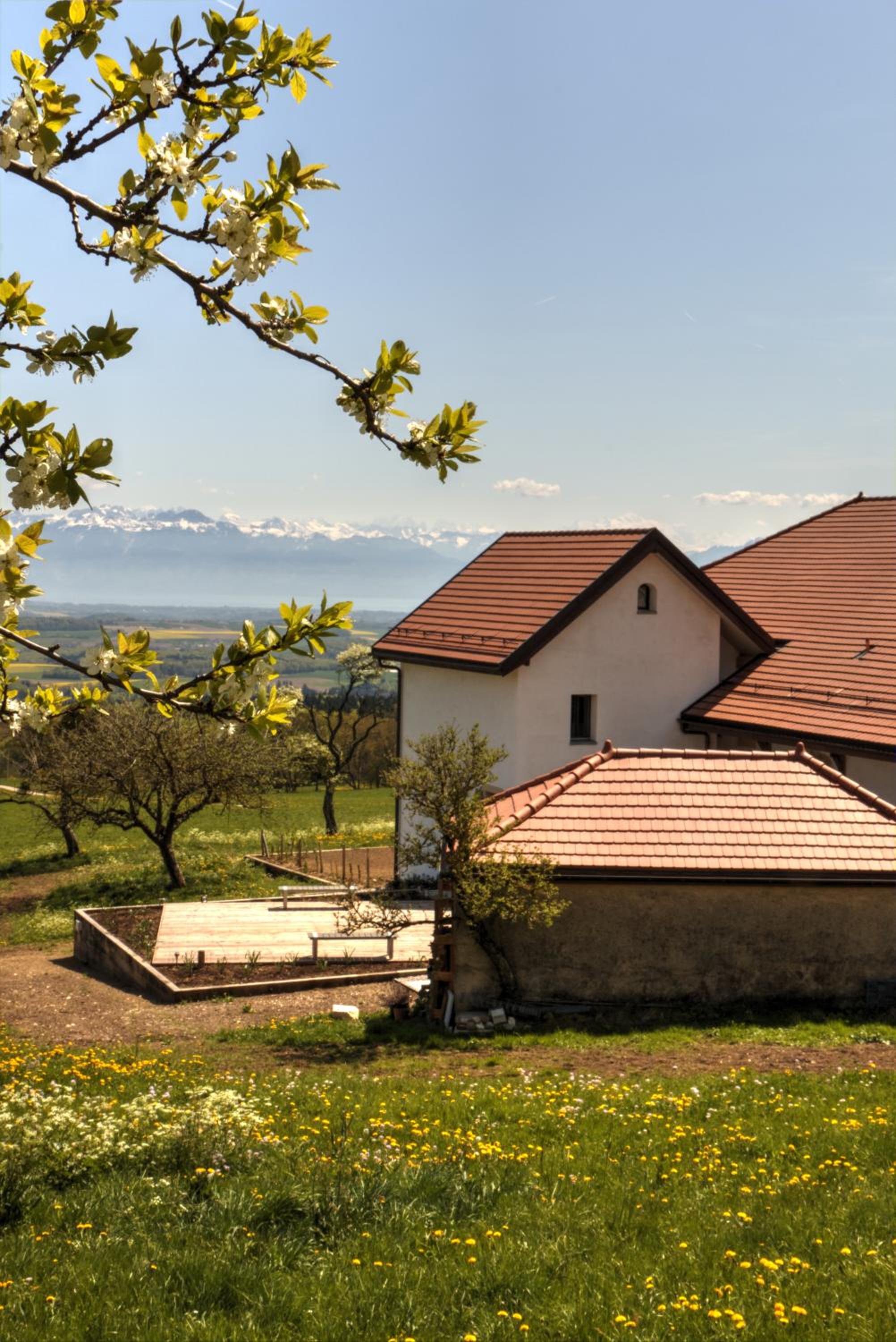 La Ferme de la Praz B&B