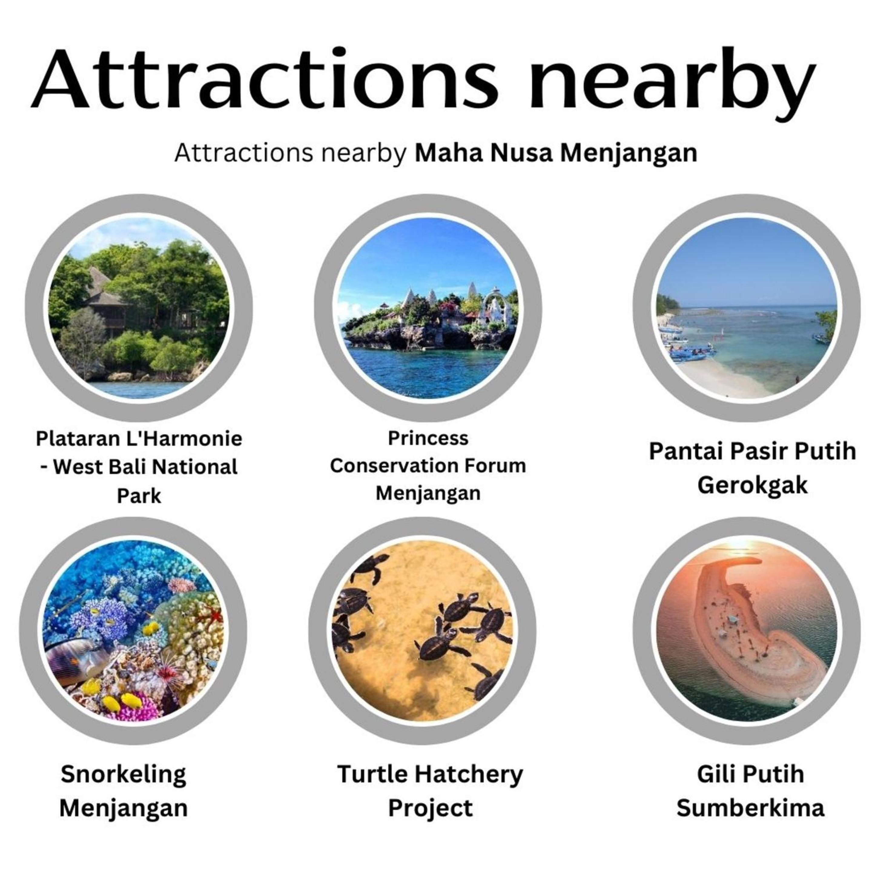 Maha Nusa Menjangan view 3