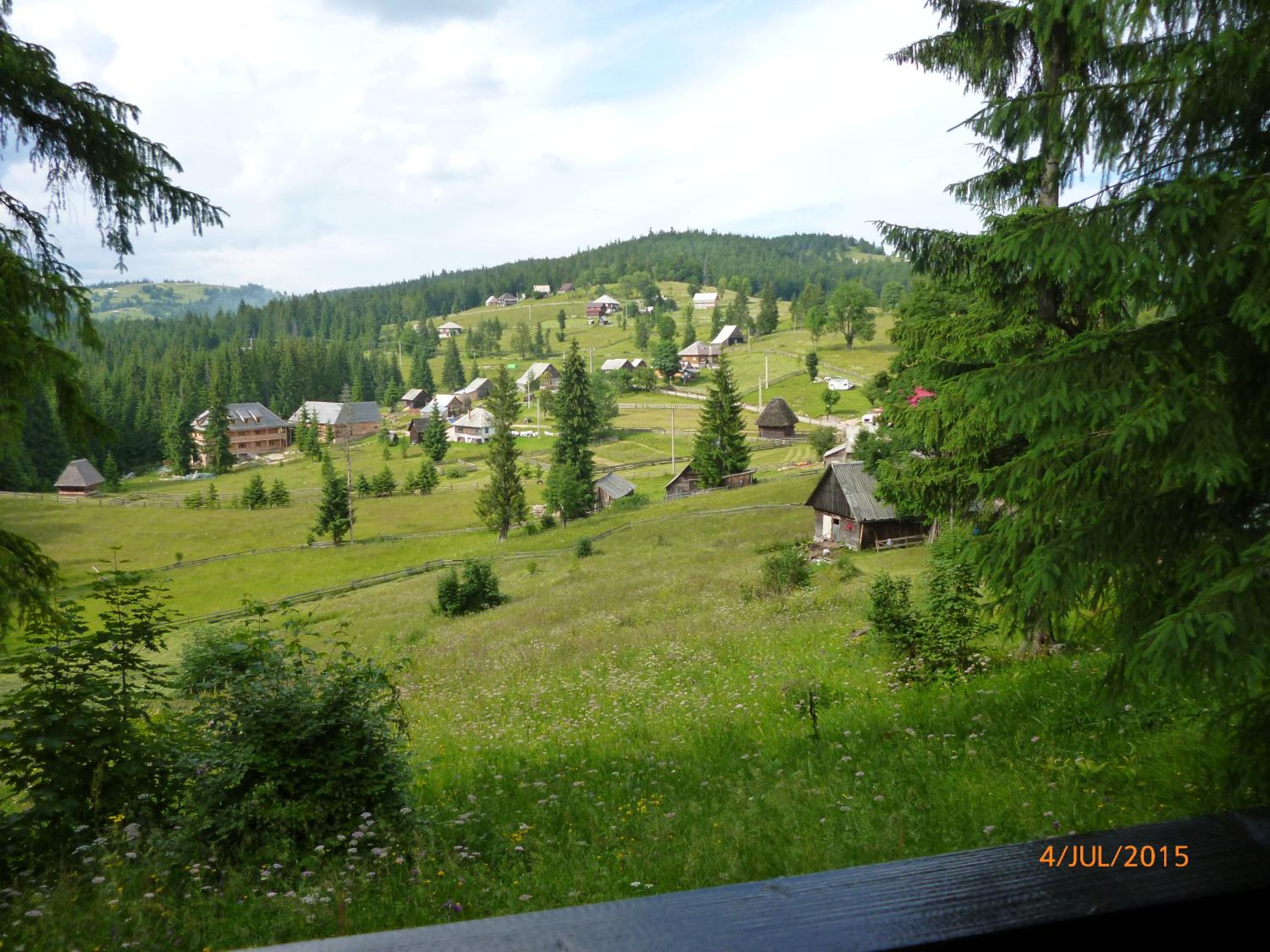 Photo 34