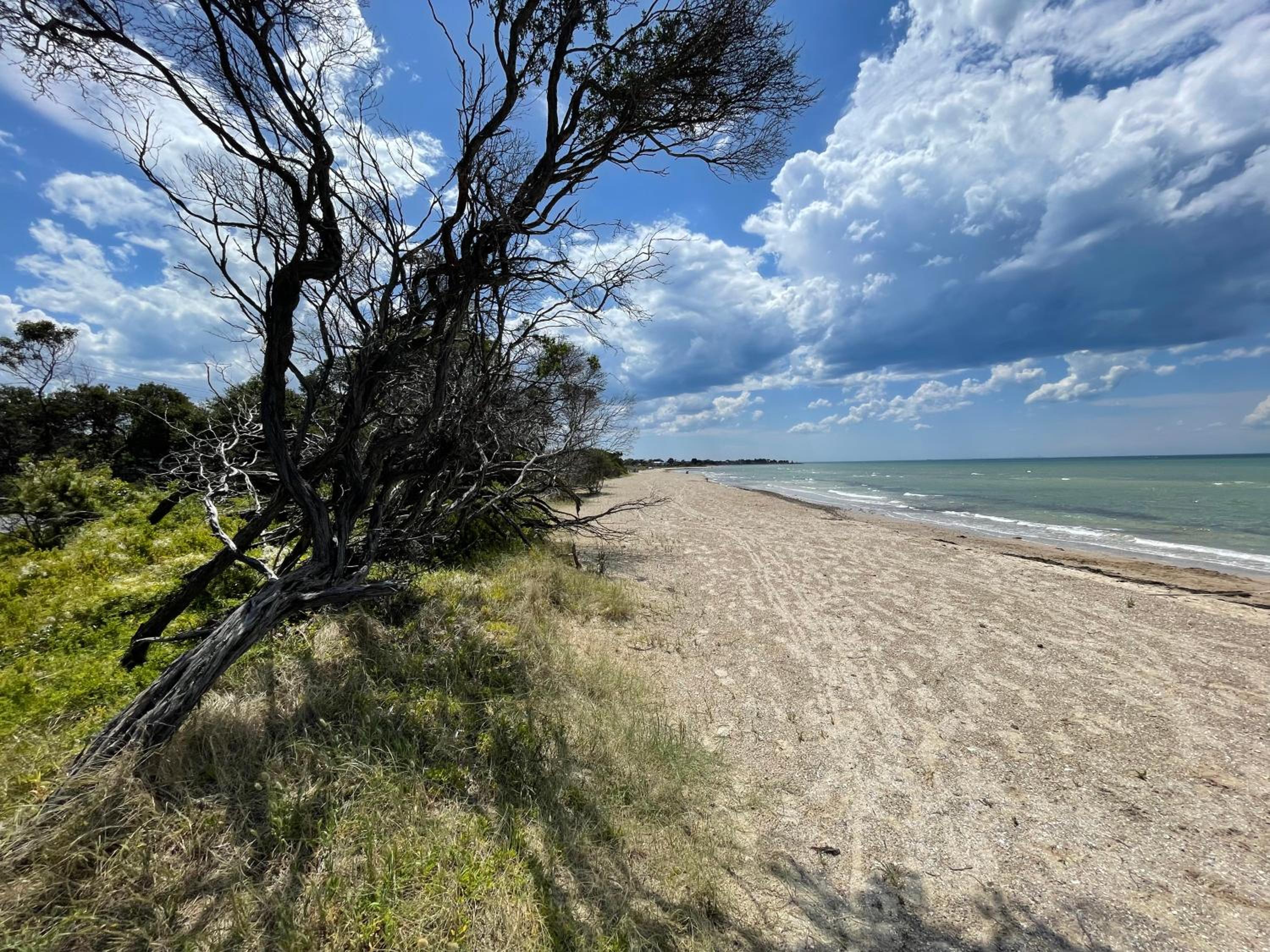 The Waterfront - The beach at your doorstep
