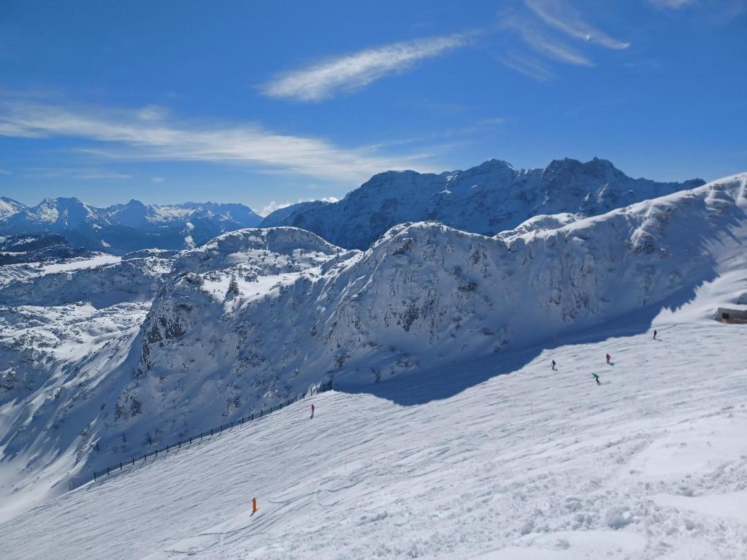 Alpen-Chalet Benzeck