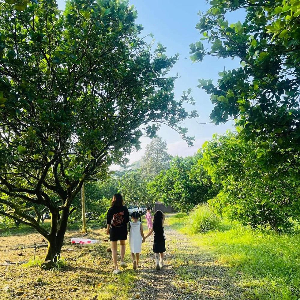 Suối Camp view 4