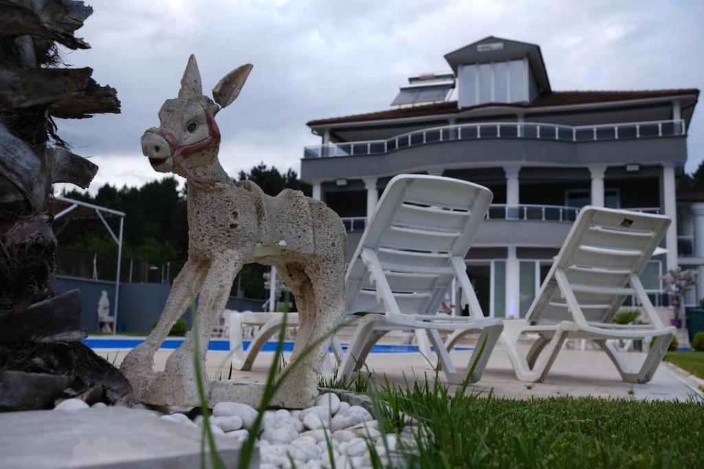 Magnificent villa near Istanbul