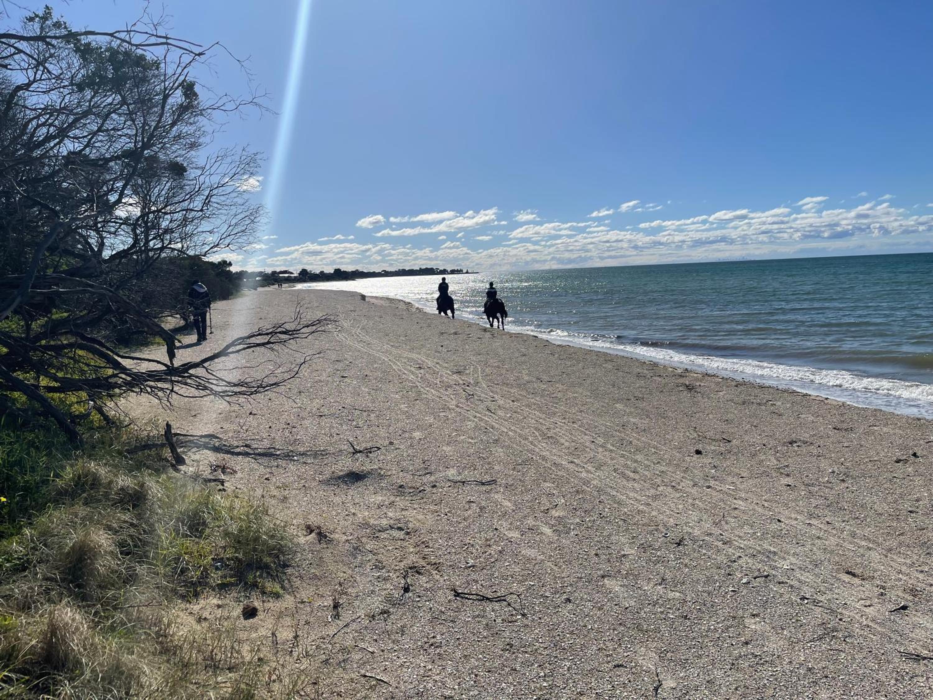 The Waterfront - The beach at your doorstep