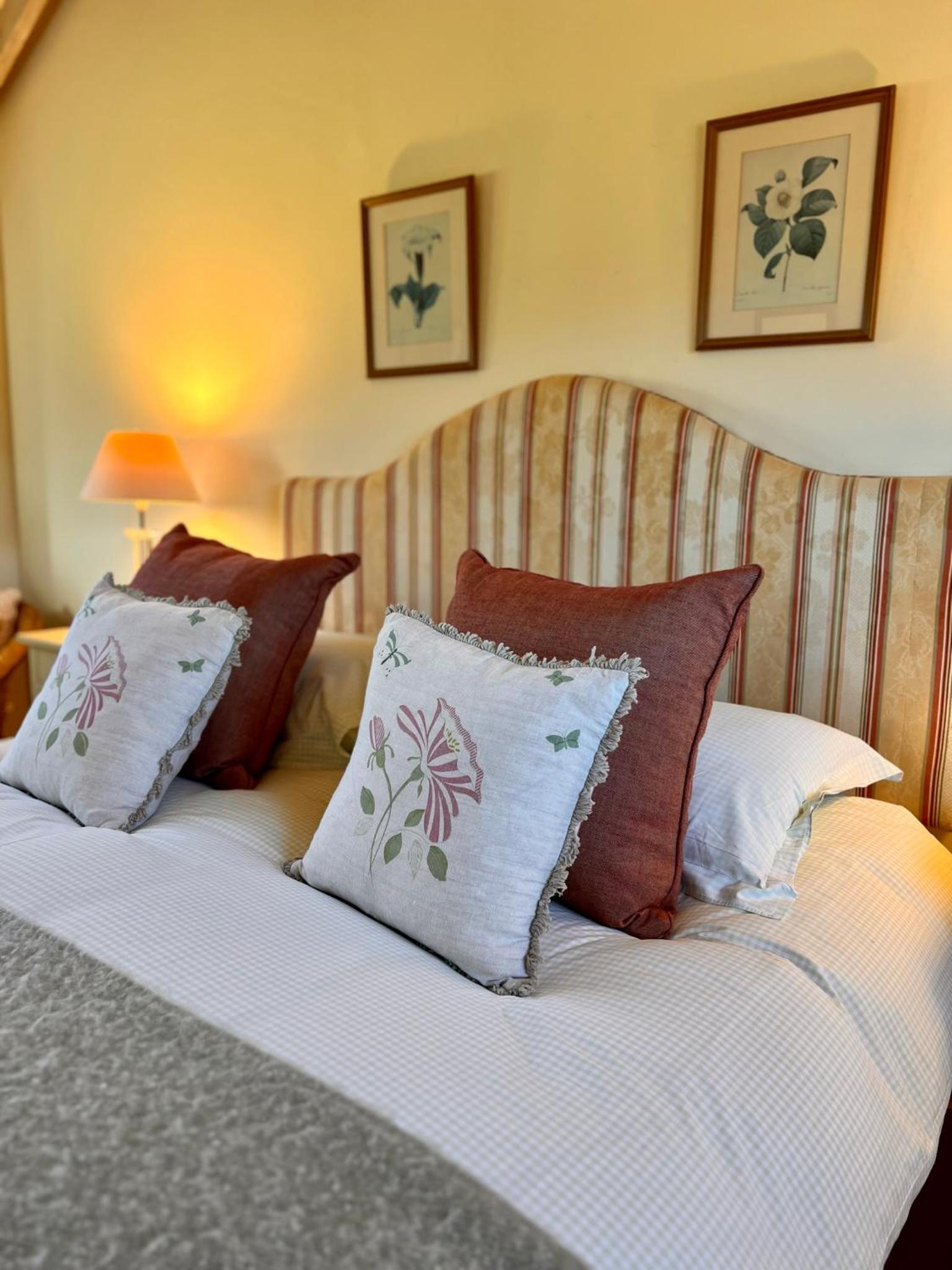 The Calf Shed - cozy cottage in peaceful Norfolk countryside view 4