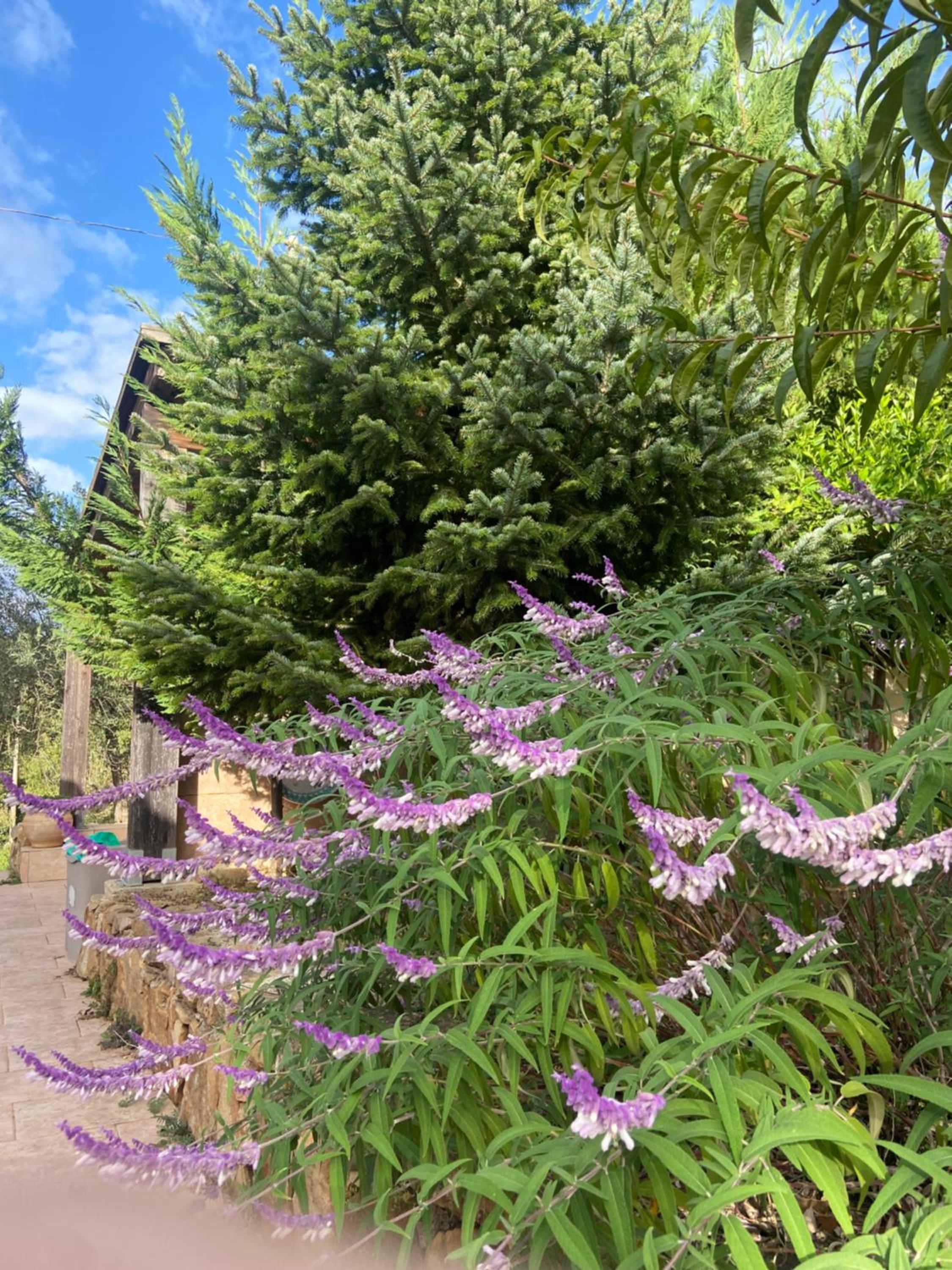 Villa al Presti, Vacanze in pieno relax