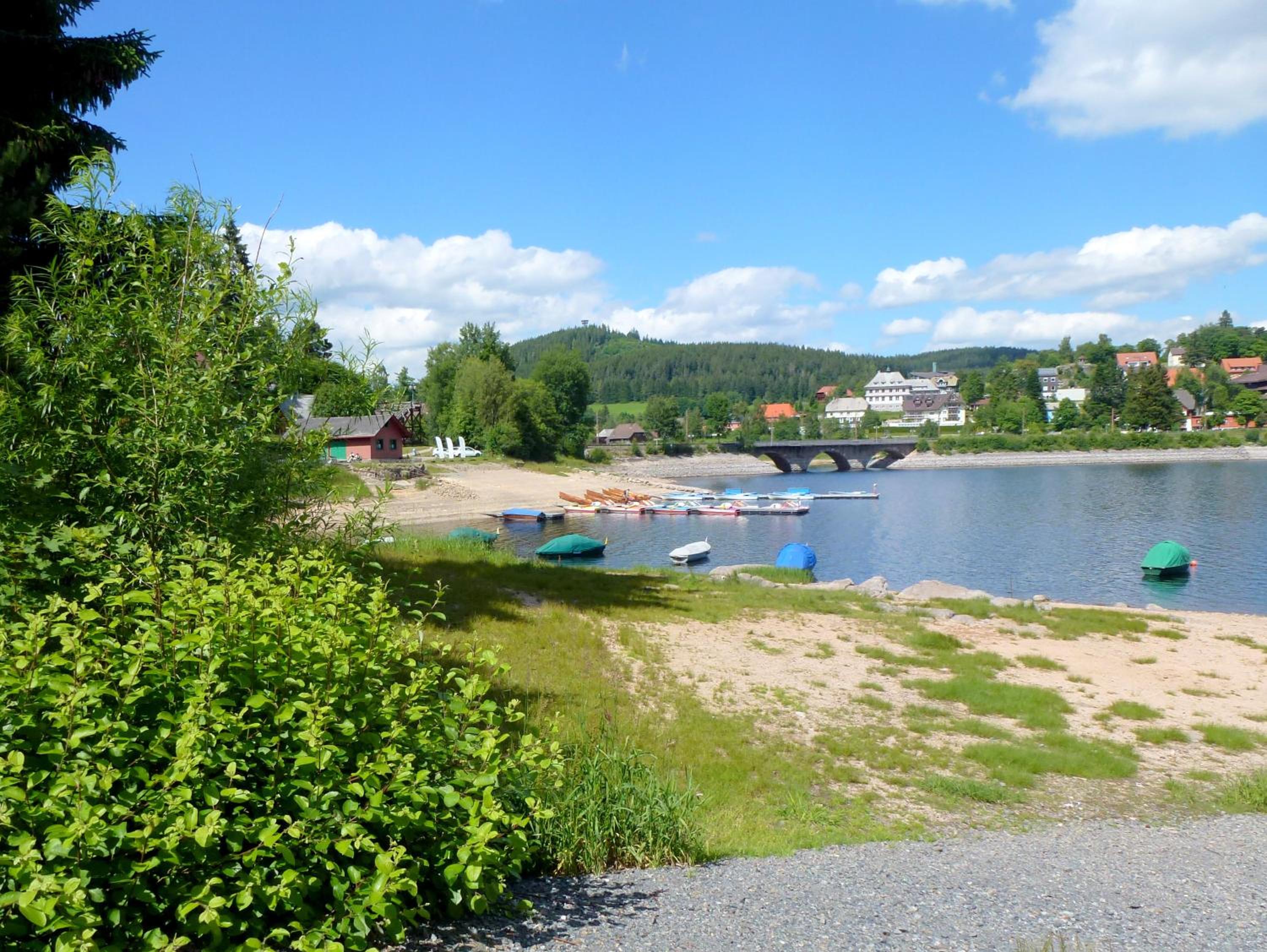 Photo 48